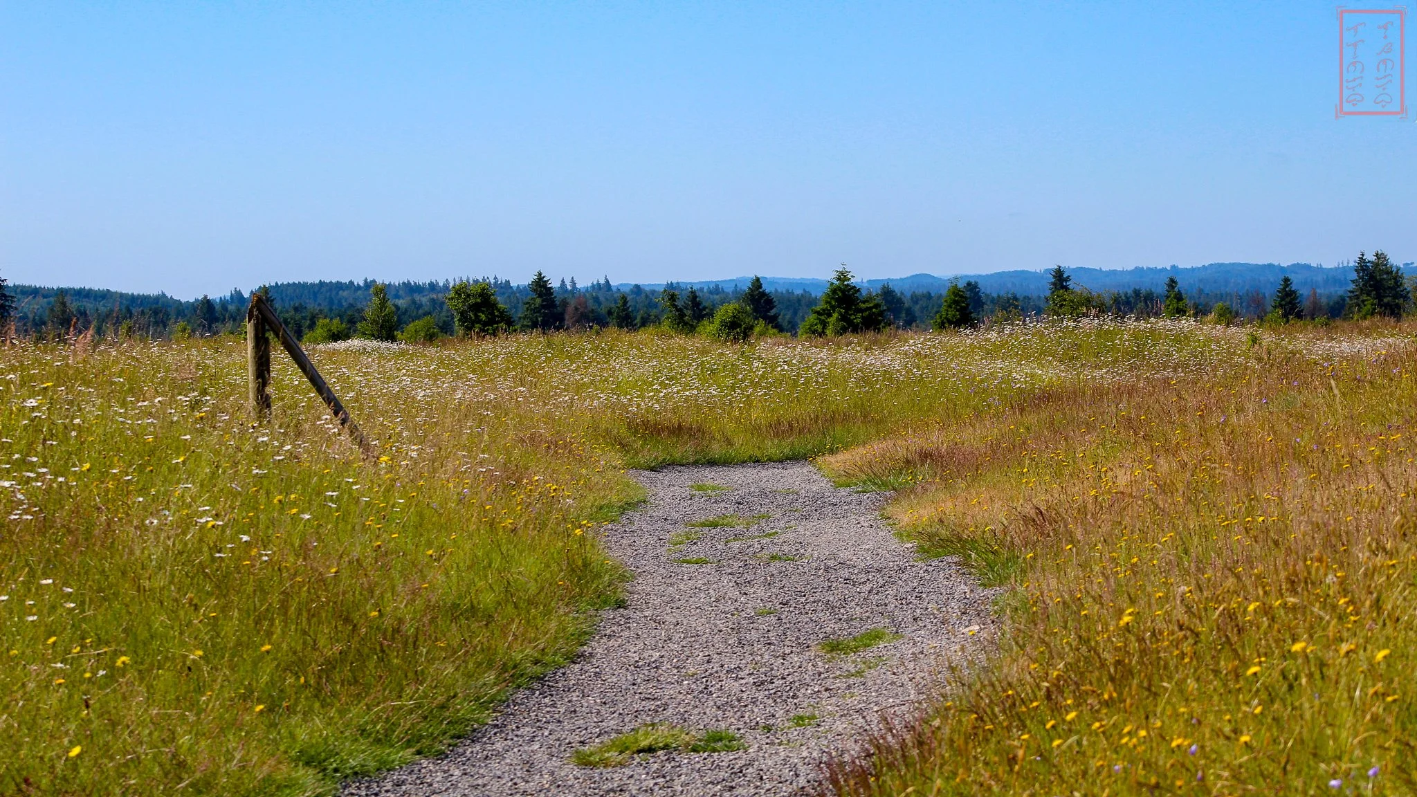 WA: Mima Mounds
