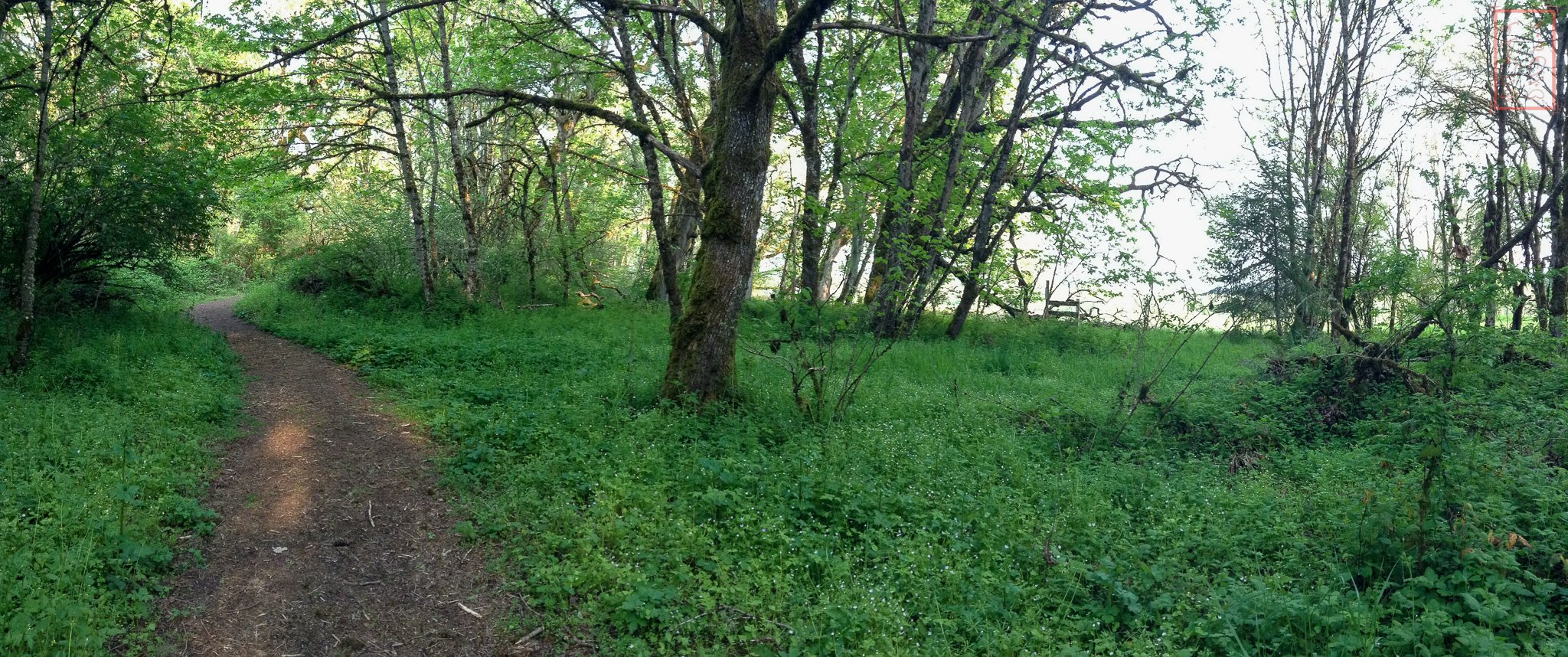 OR: William L. Finley National Wildlife Refuge