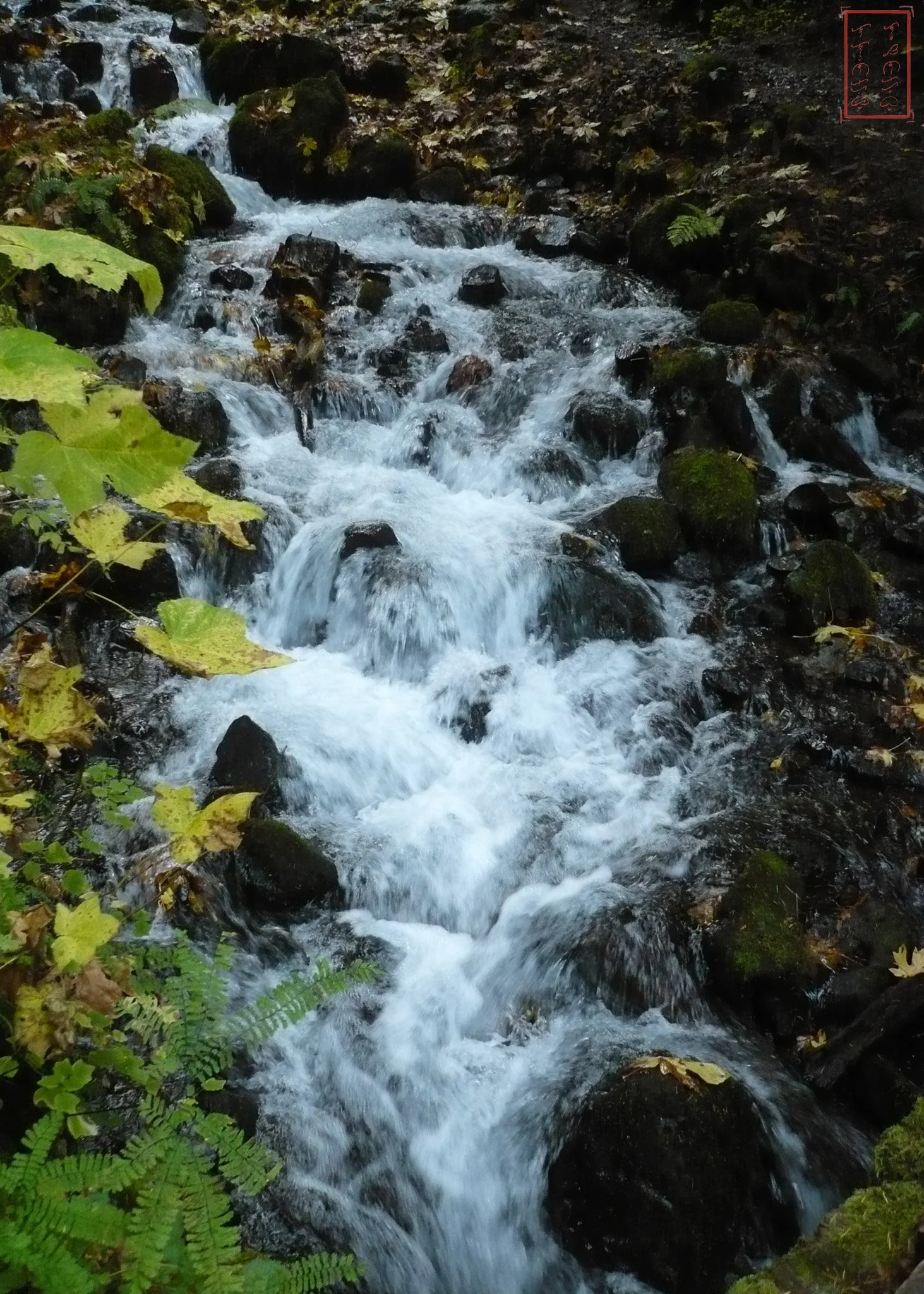 OR: Wahkeena Falls to Multnomah Falls