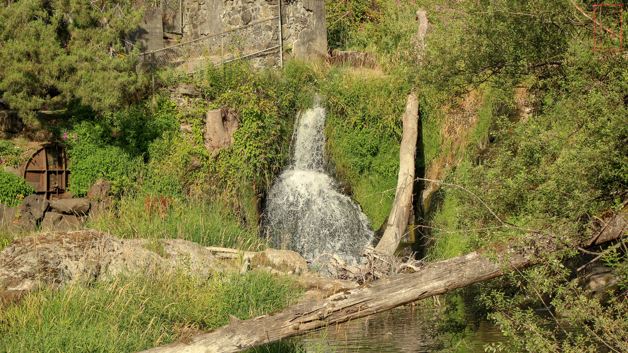 WA: Tumwater Falls