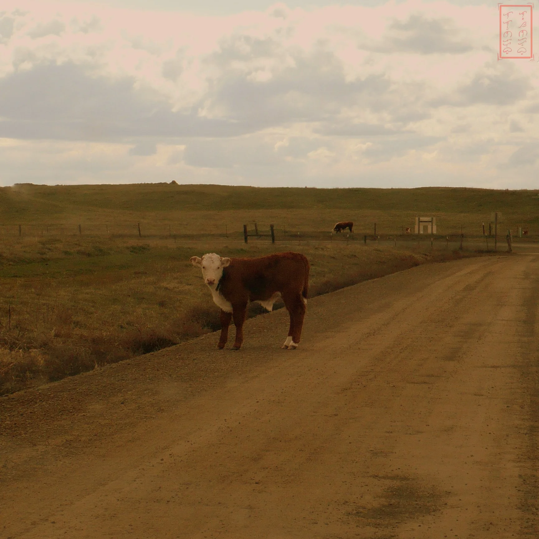 WA:  Palouse Falls