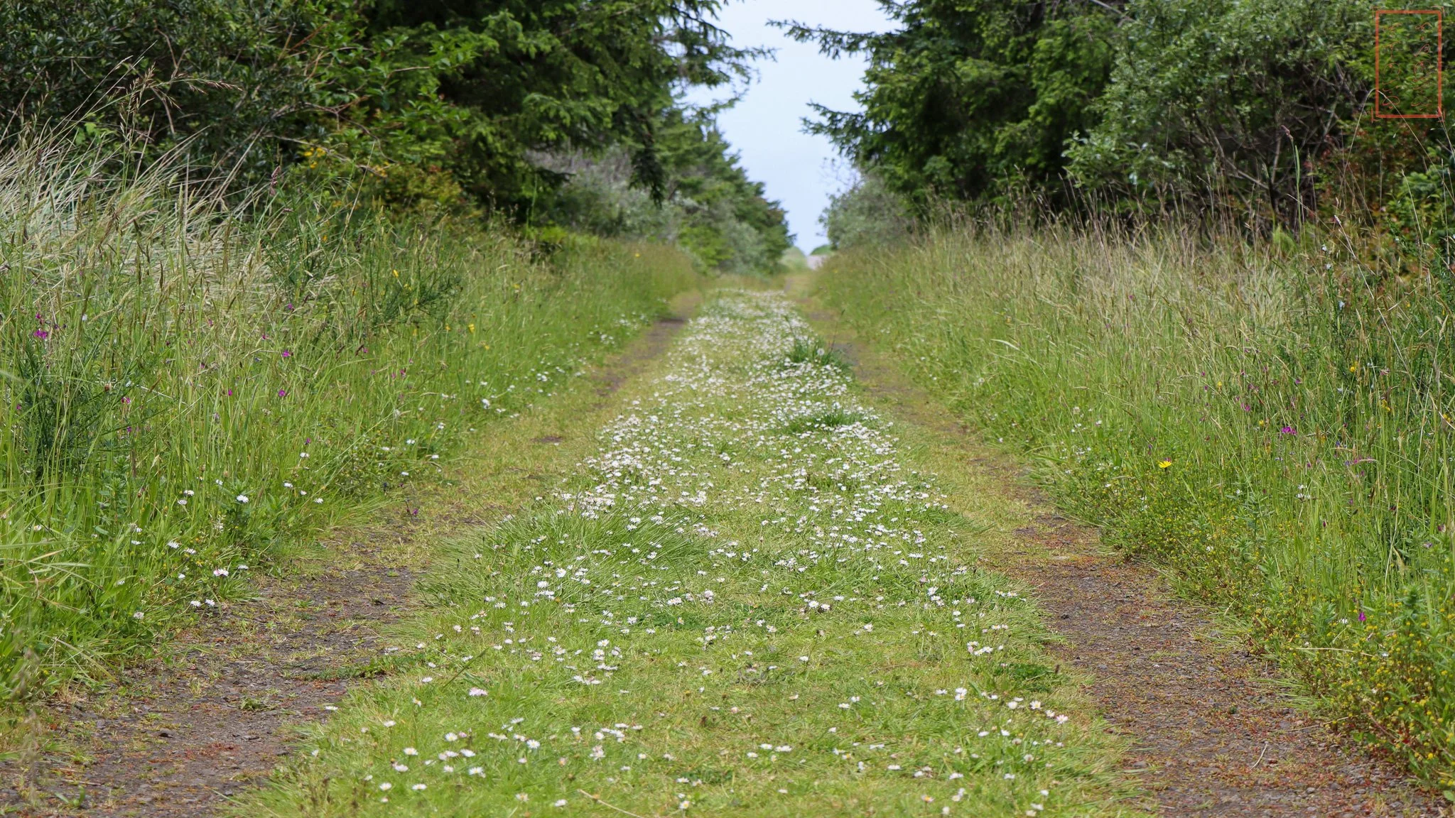 WA: Cape Disappointment