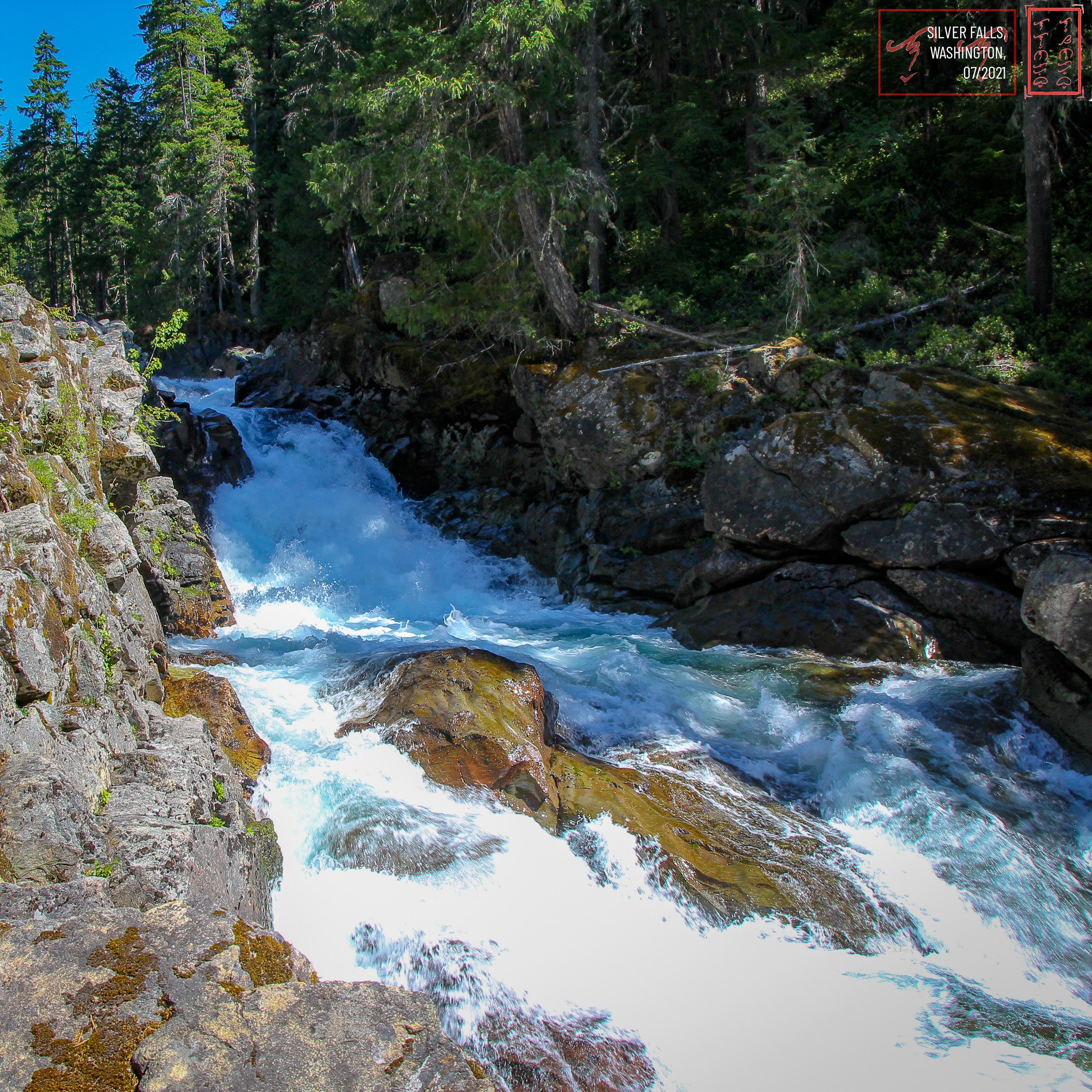 WA: Silver Falls
