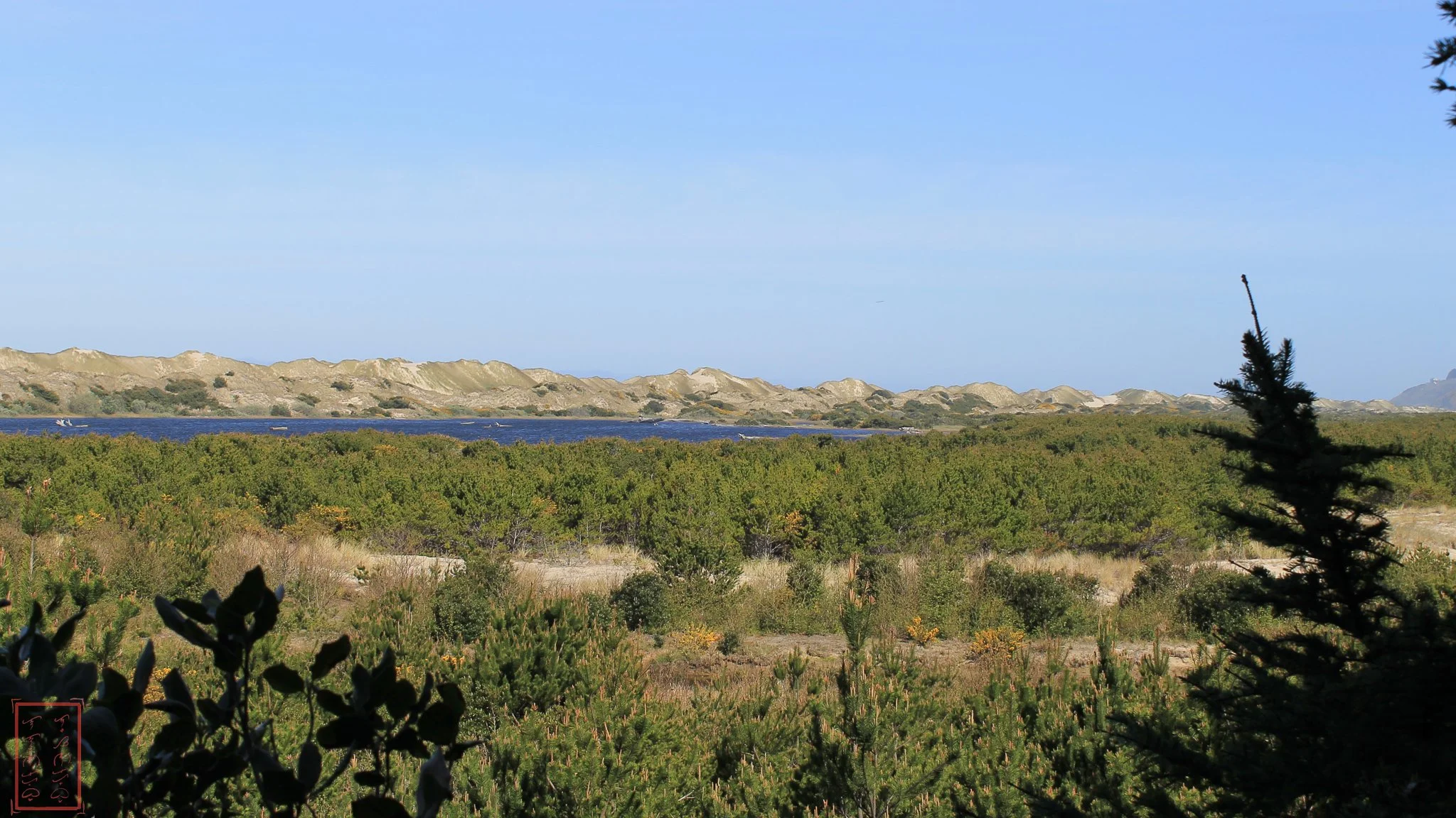 OR: Sutton Creek