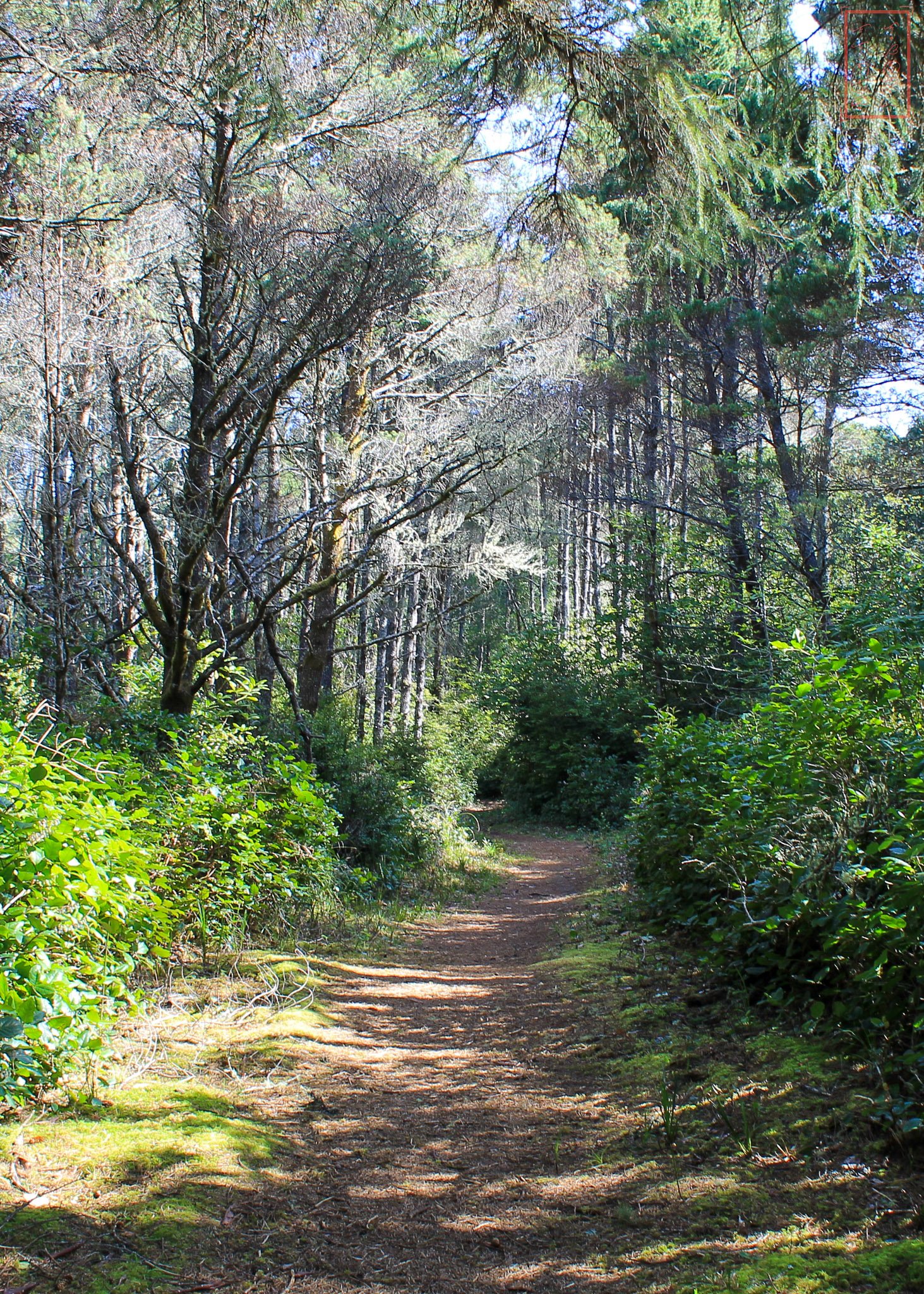 OR: Sutton Creek