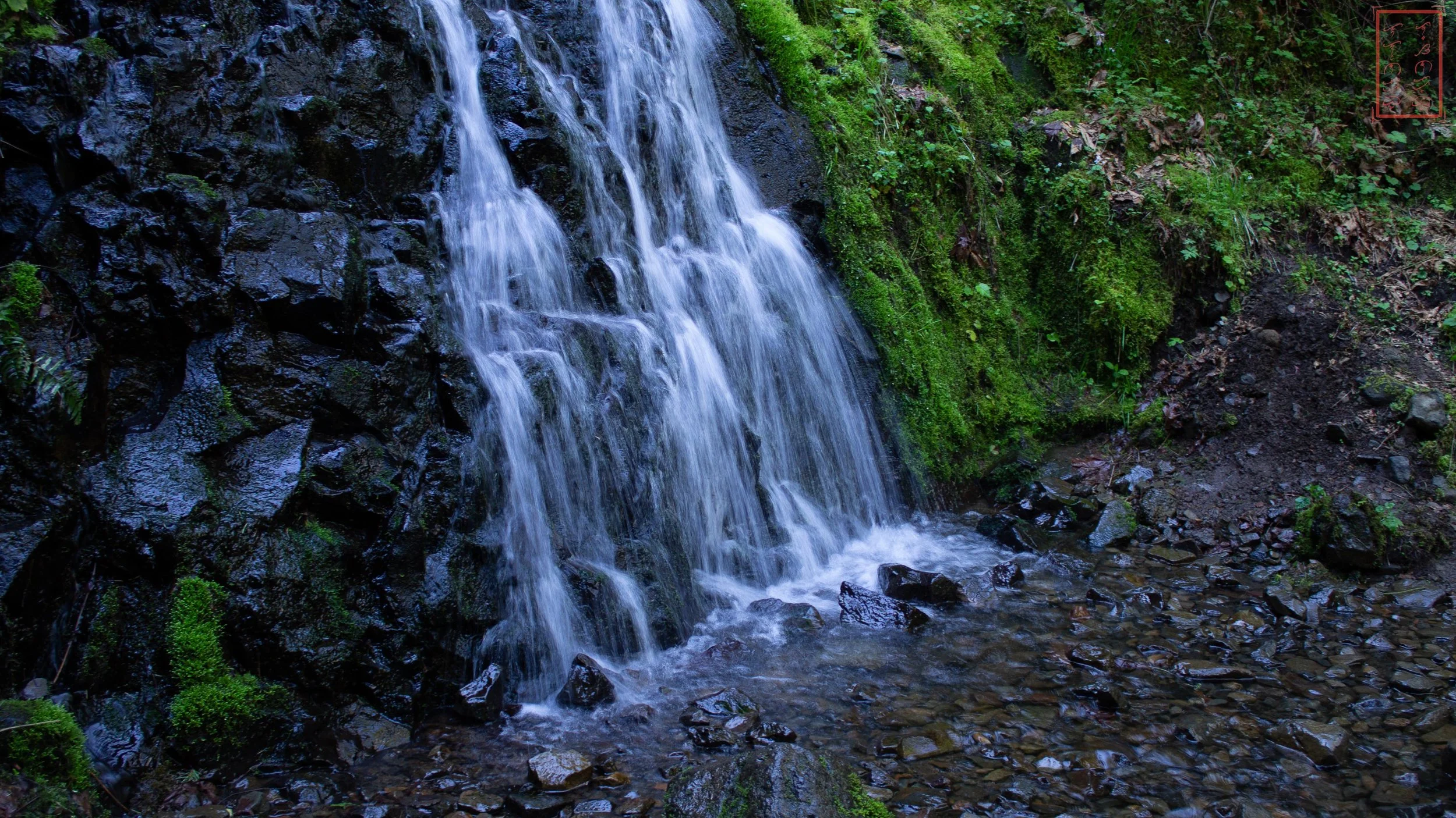OR: Oneonta Gorge