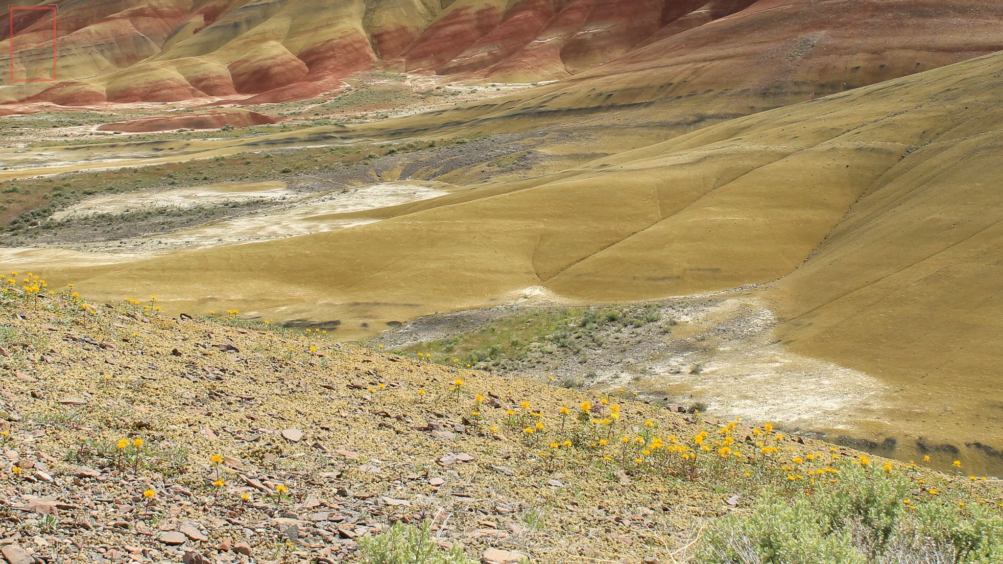OR: Painted Hills