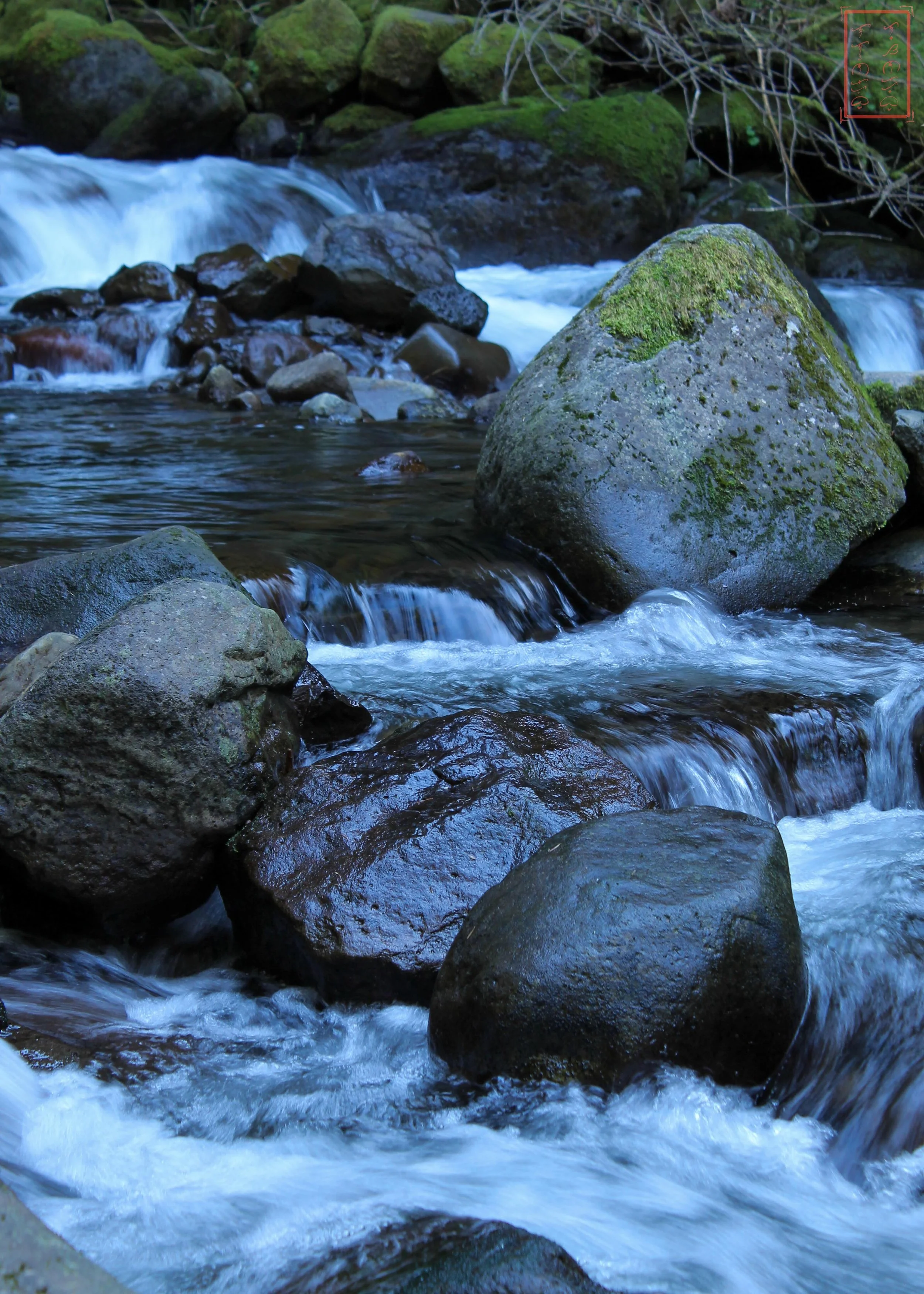 OR: Oneonta Gorge