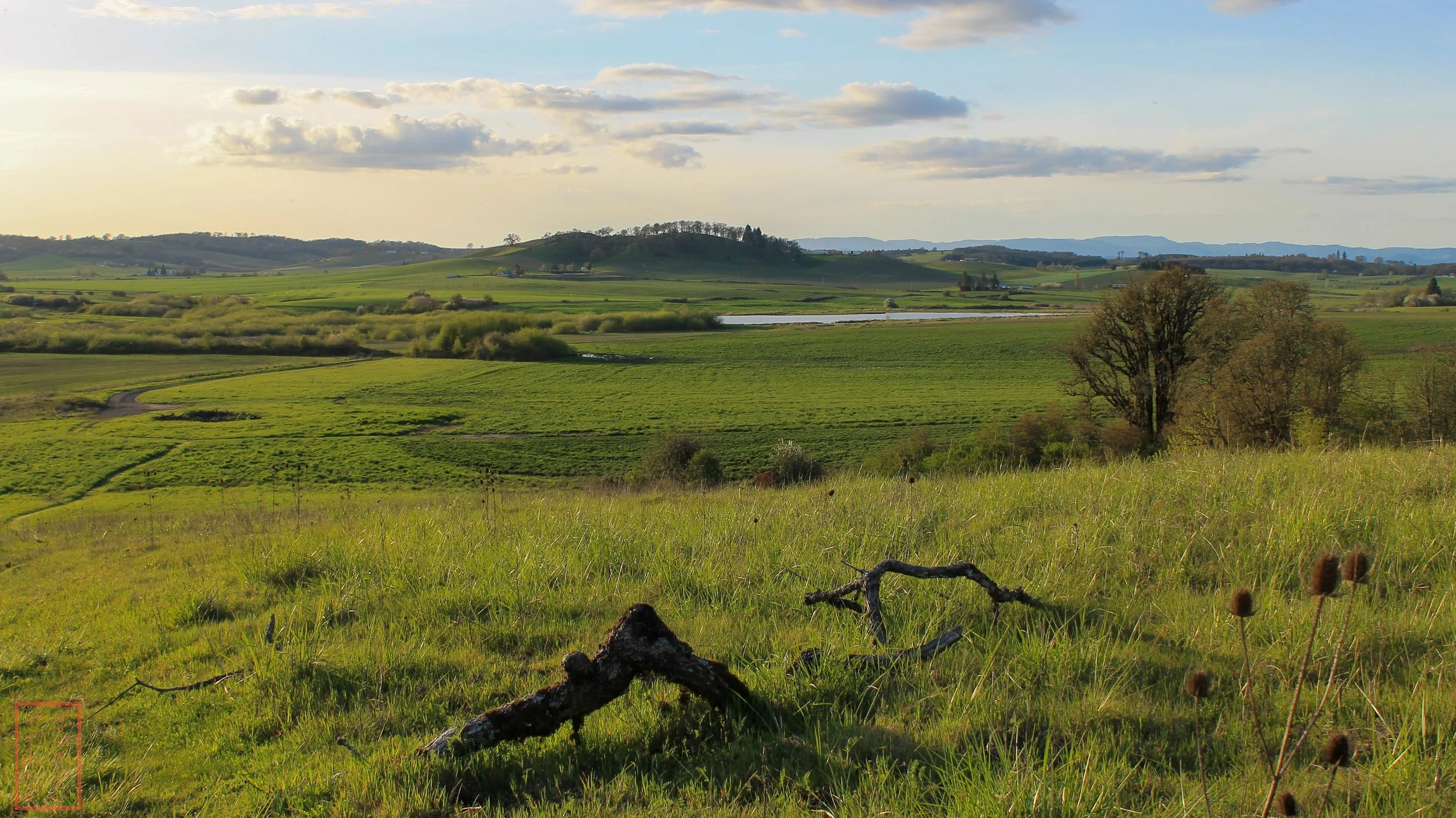 OR: Baskett Slough