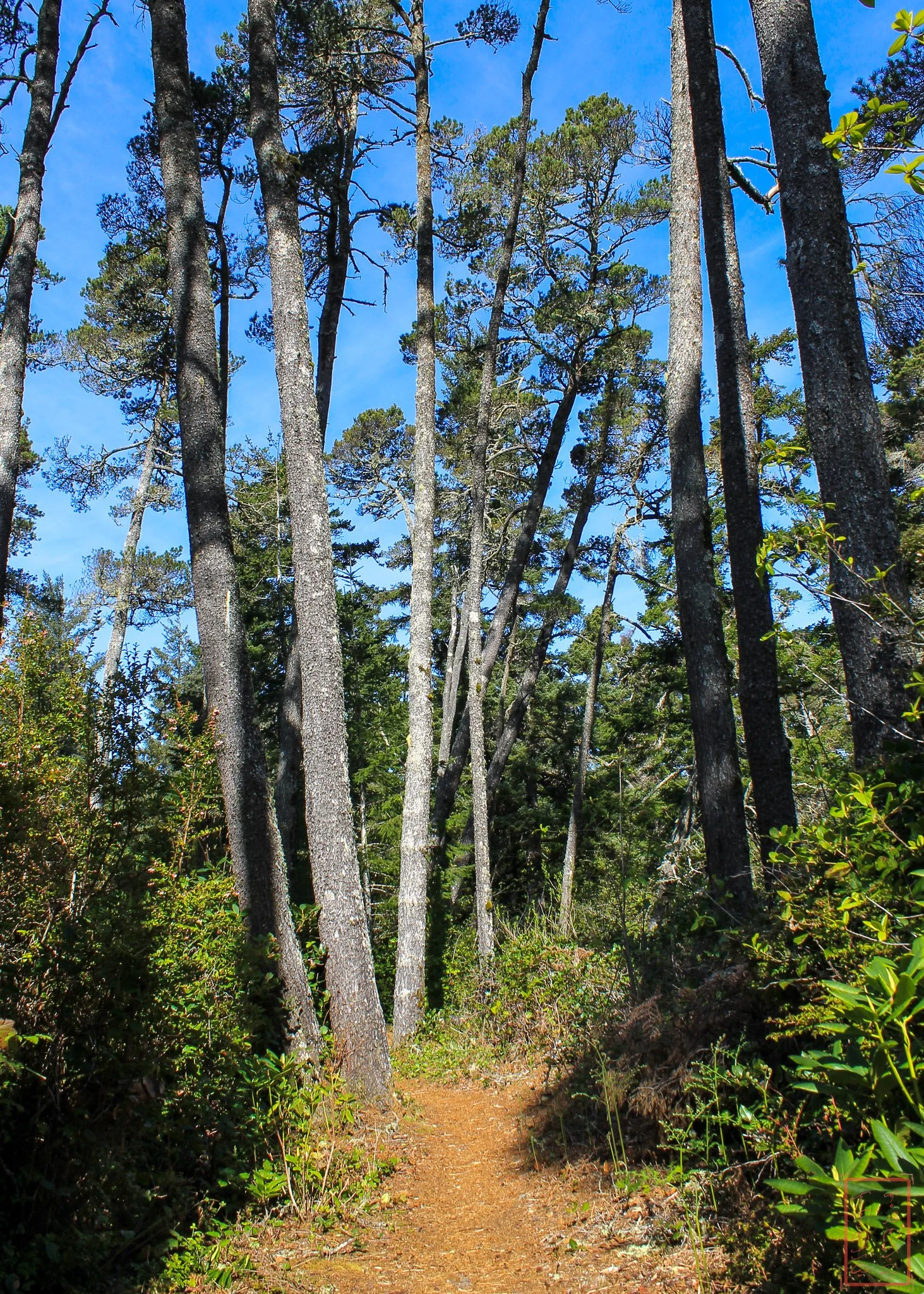 OR: Sutton Creek