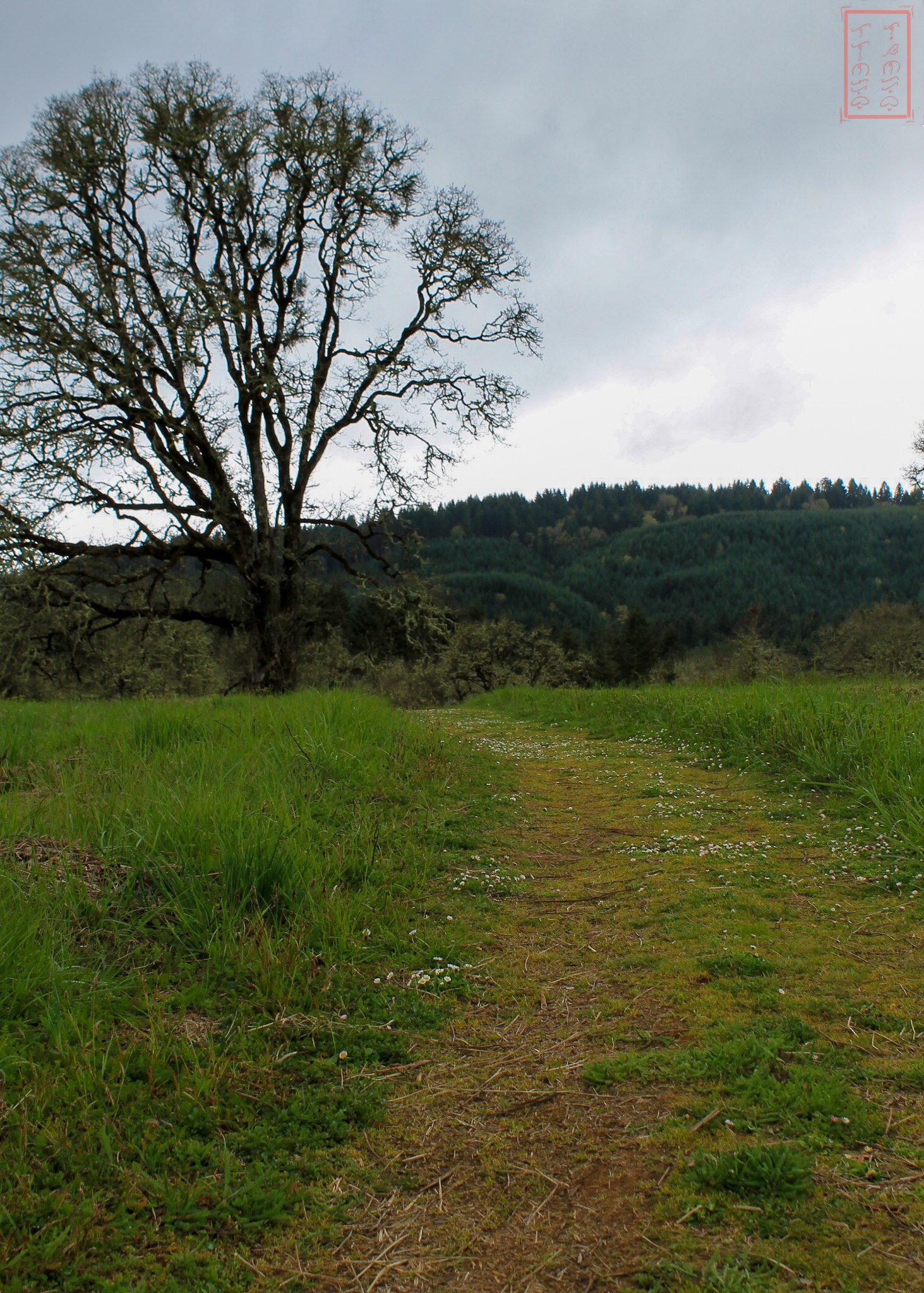 OR: William L. Finley National Wildlife Refuge
