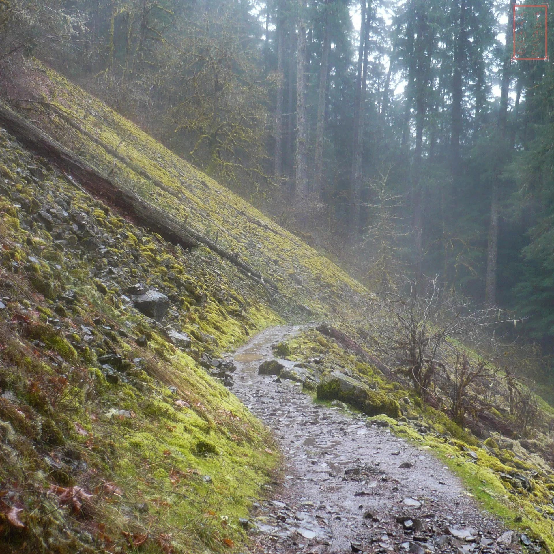 OR: Eagle Creek