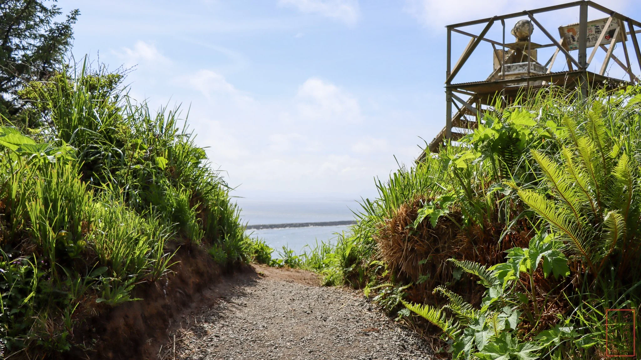 WA: Cape Disappointment