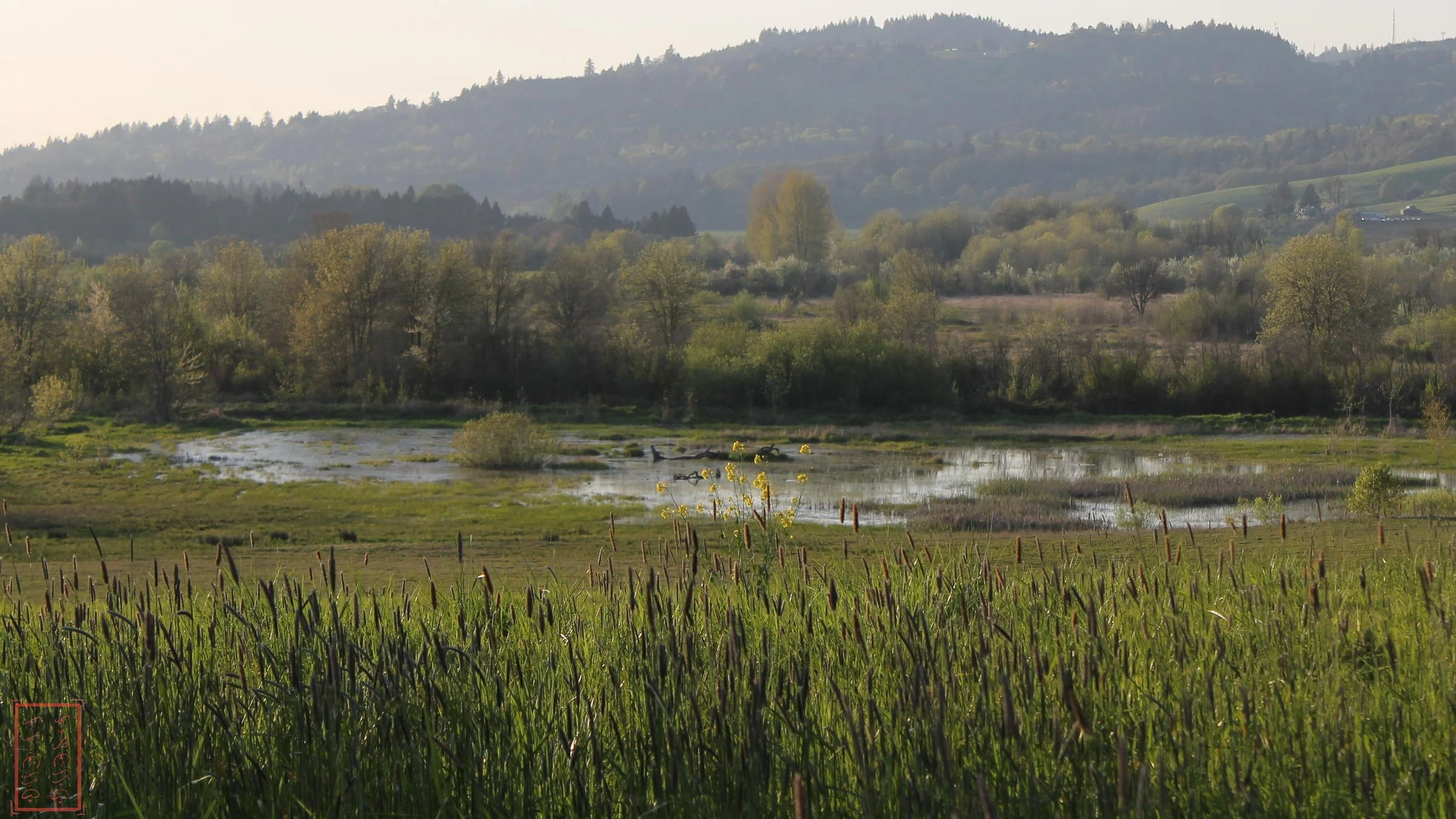 Prairie Terraces