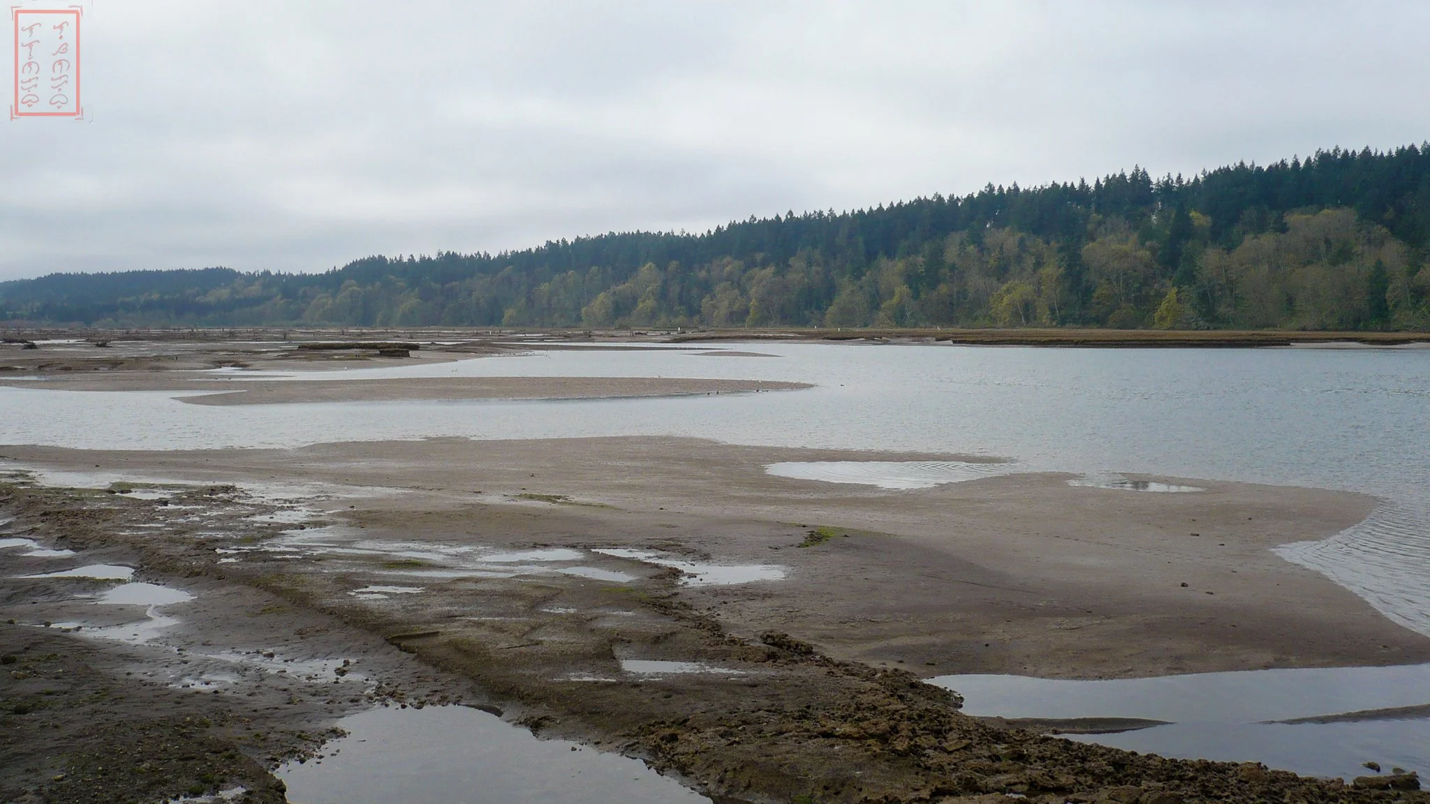WA: Billy Frank Jr. Nisqually National Wildlife Refuge