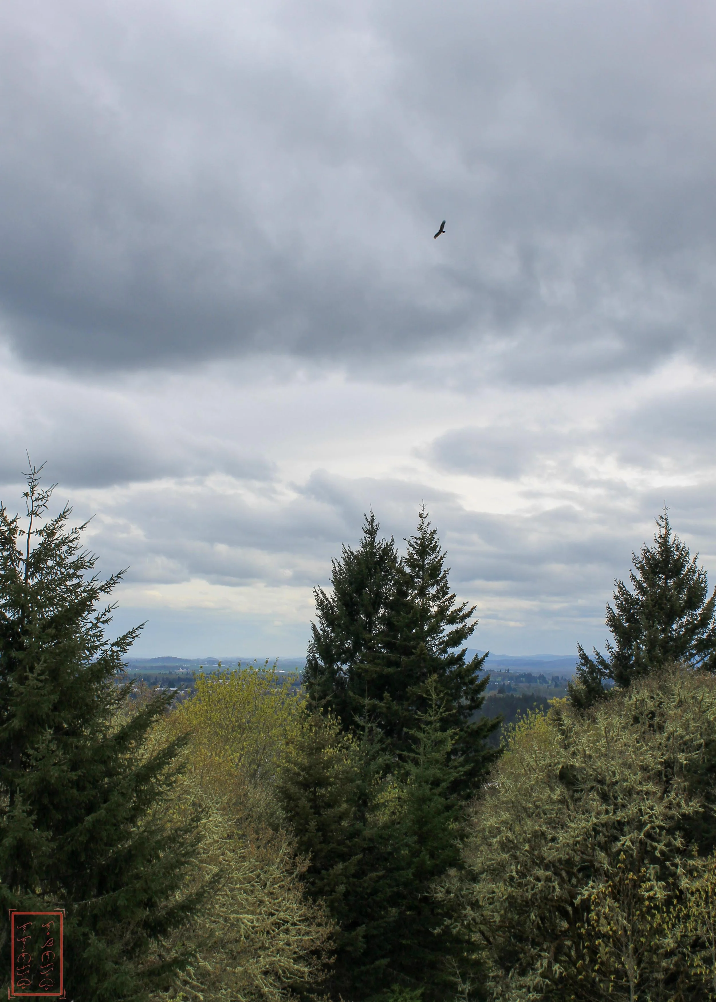 OR: Chip Ross Park and Dimple Hill