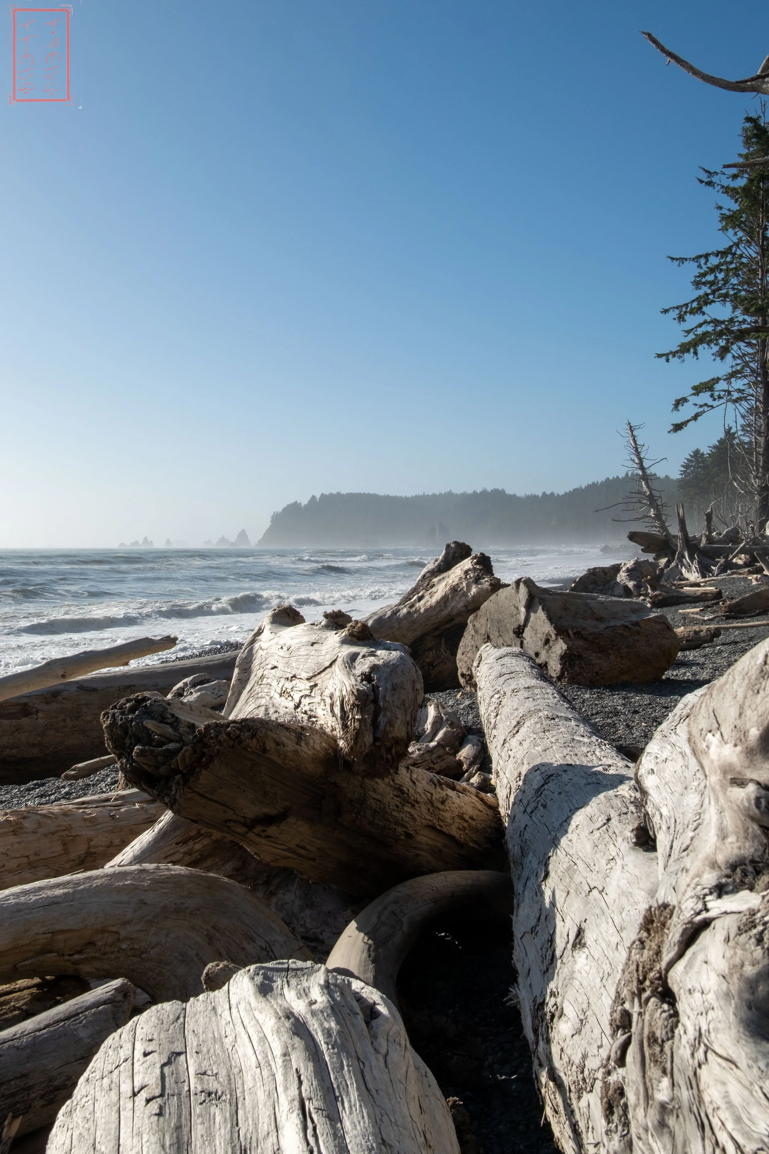 WA: Rialto Beach