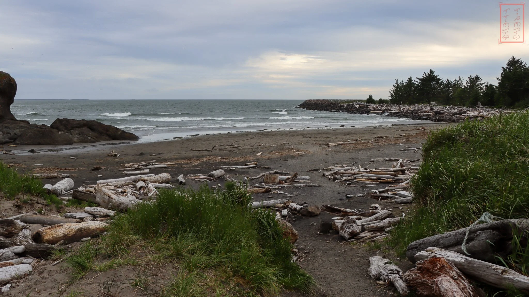 WA: Cape Disappointment