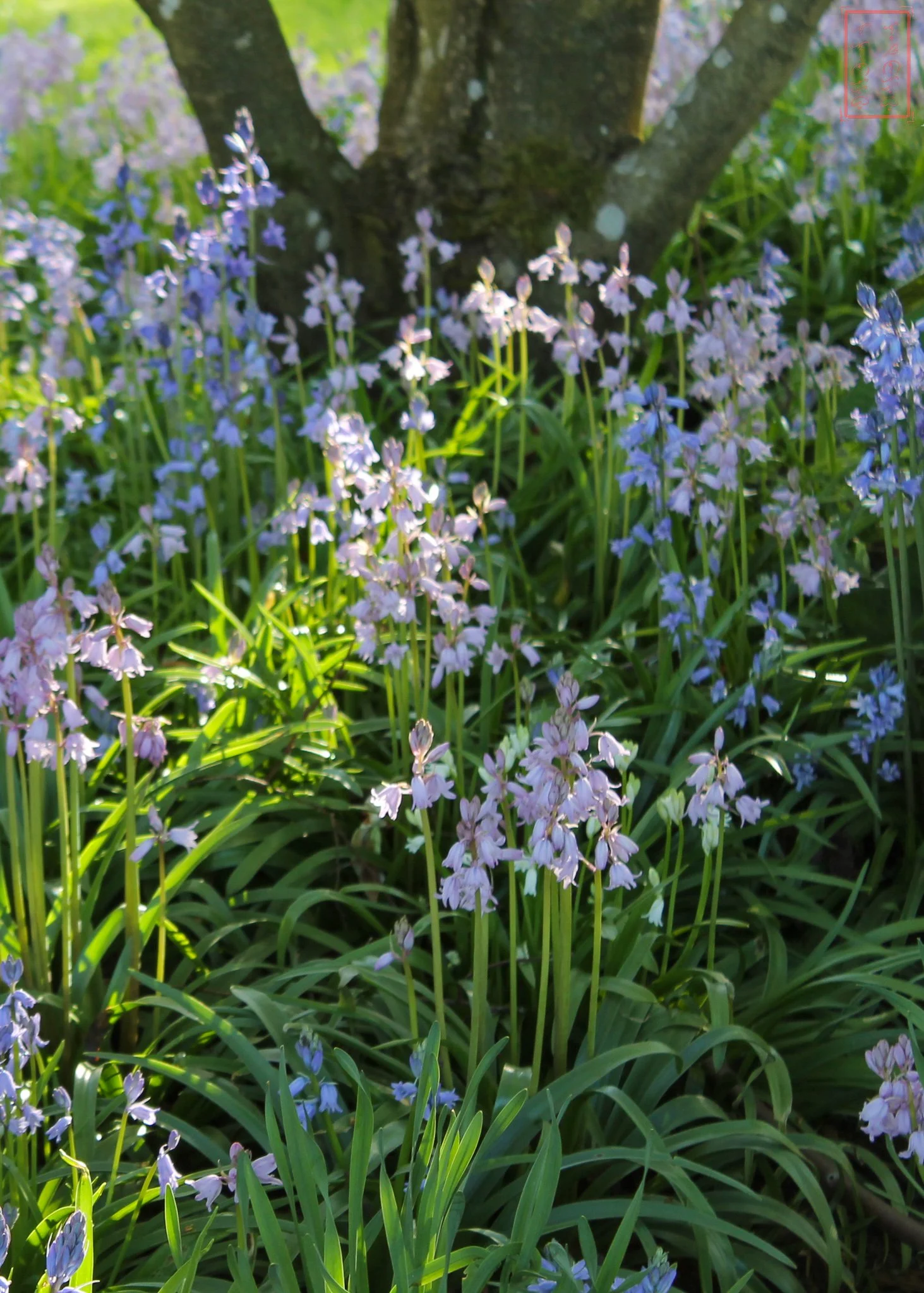0_Salem_5x7-6.jpg