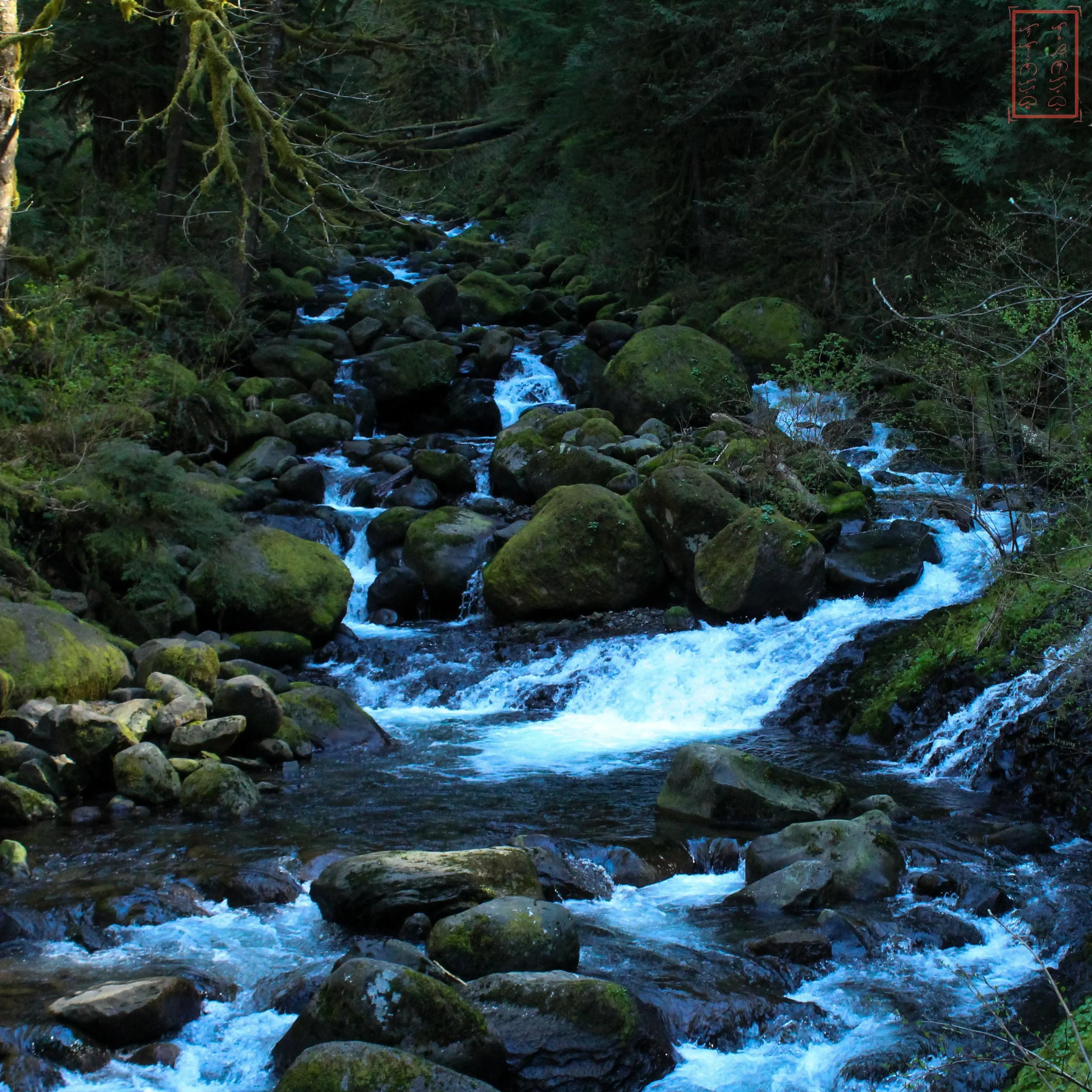 OR: Oneonta Gorge