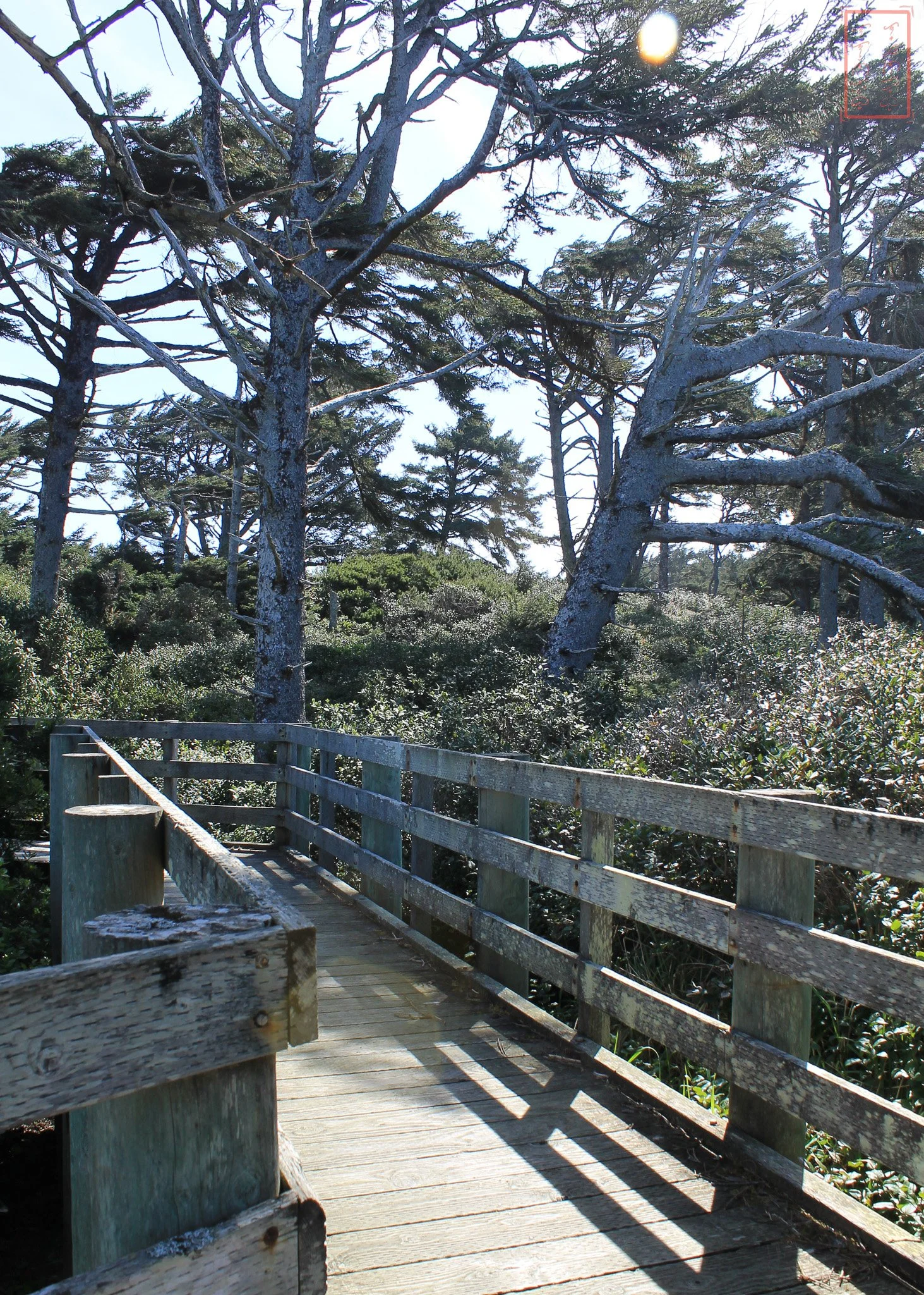 OR: Sutton Creek