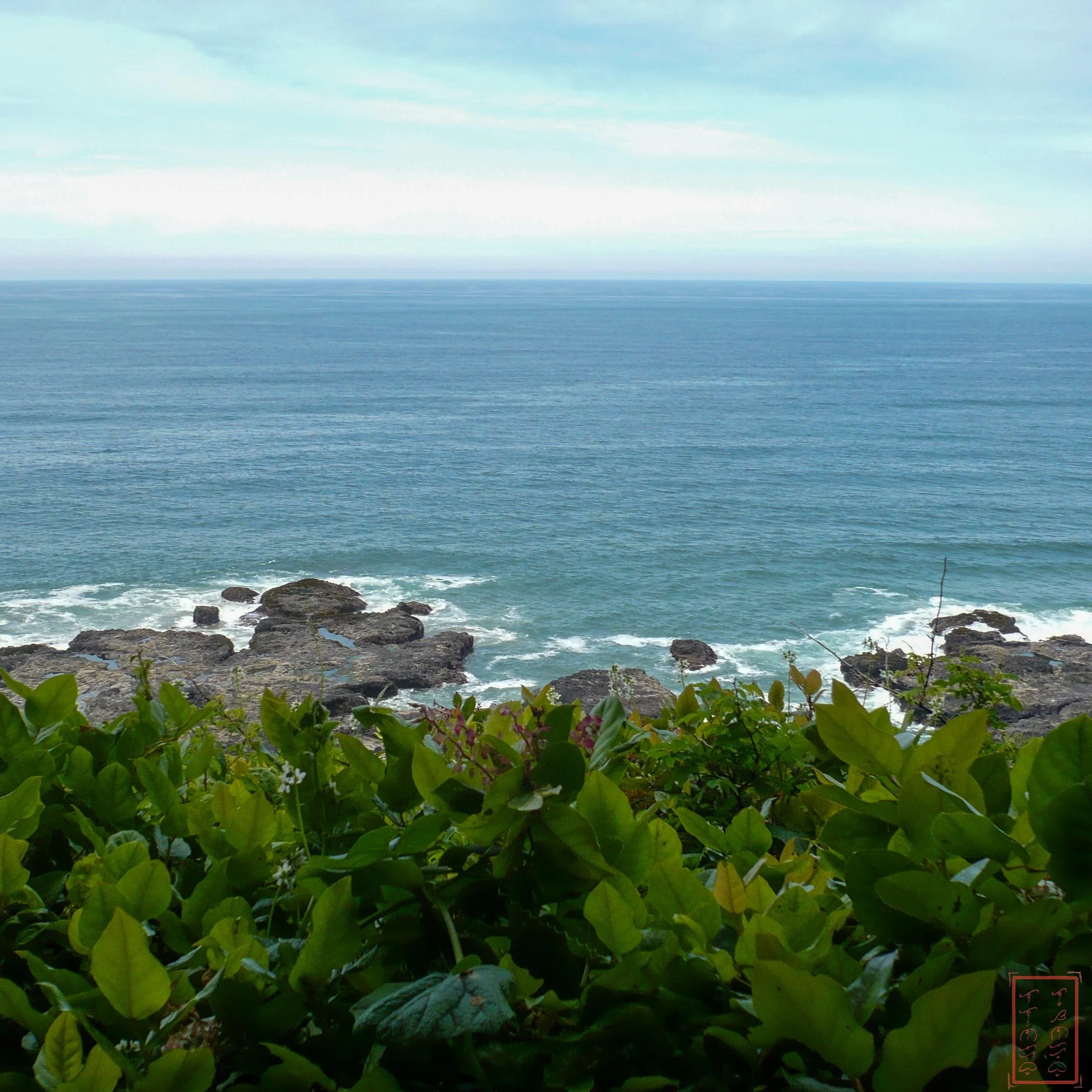 OR: Cape Perpetua