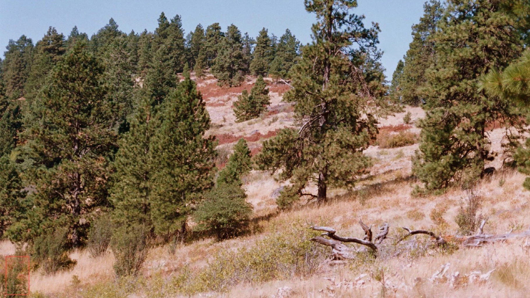 WA:  Kamiak Butte County Park