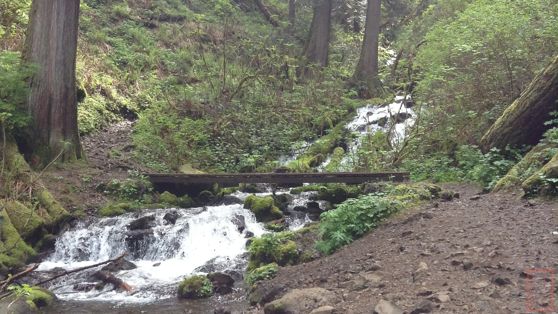 OR: Wahkeena Falls to Multnomah Falls
