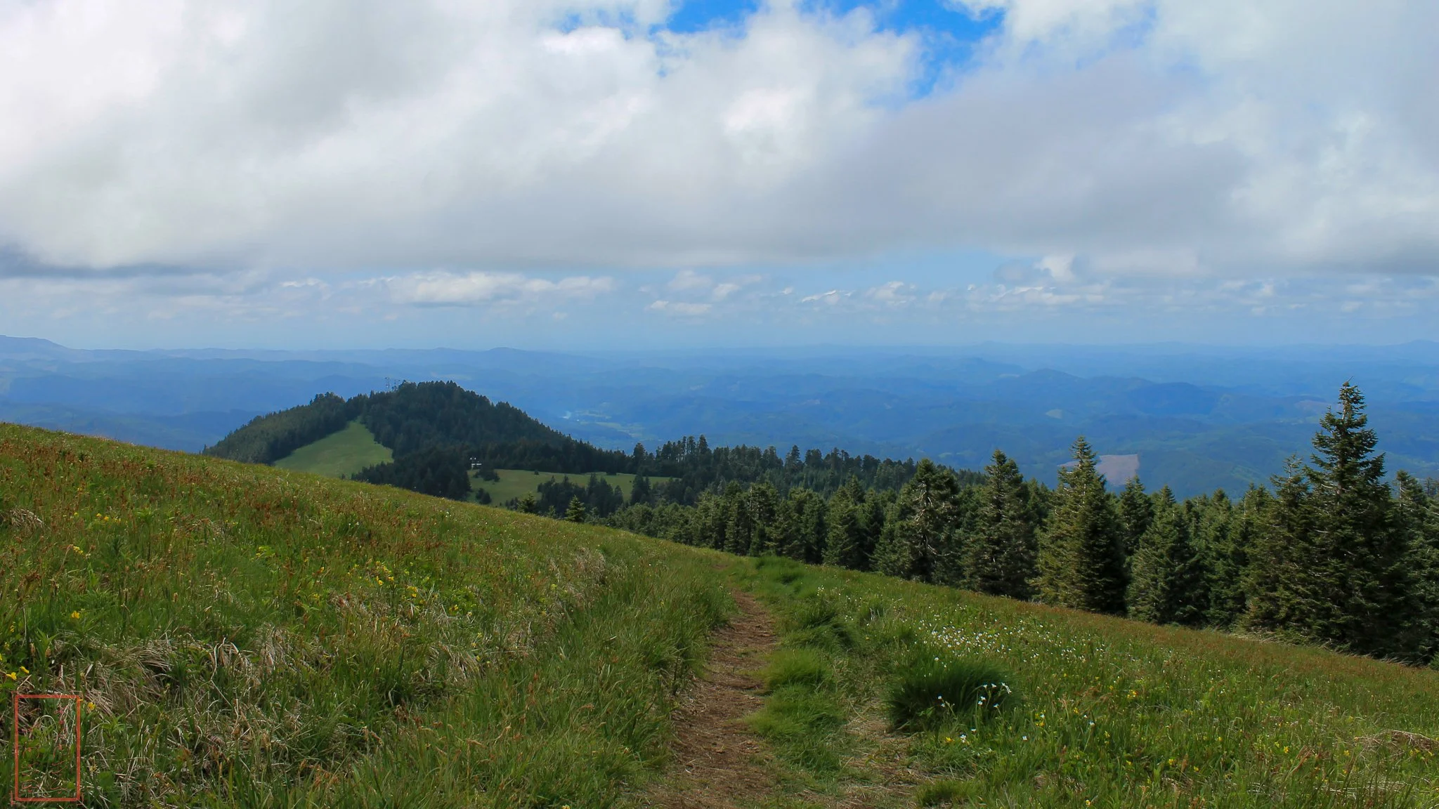 OR: Mary's Peak