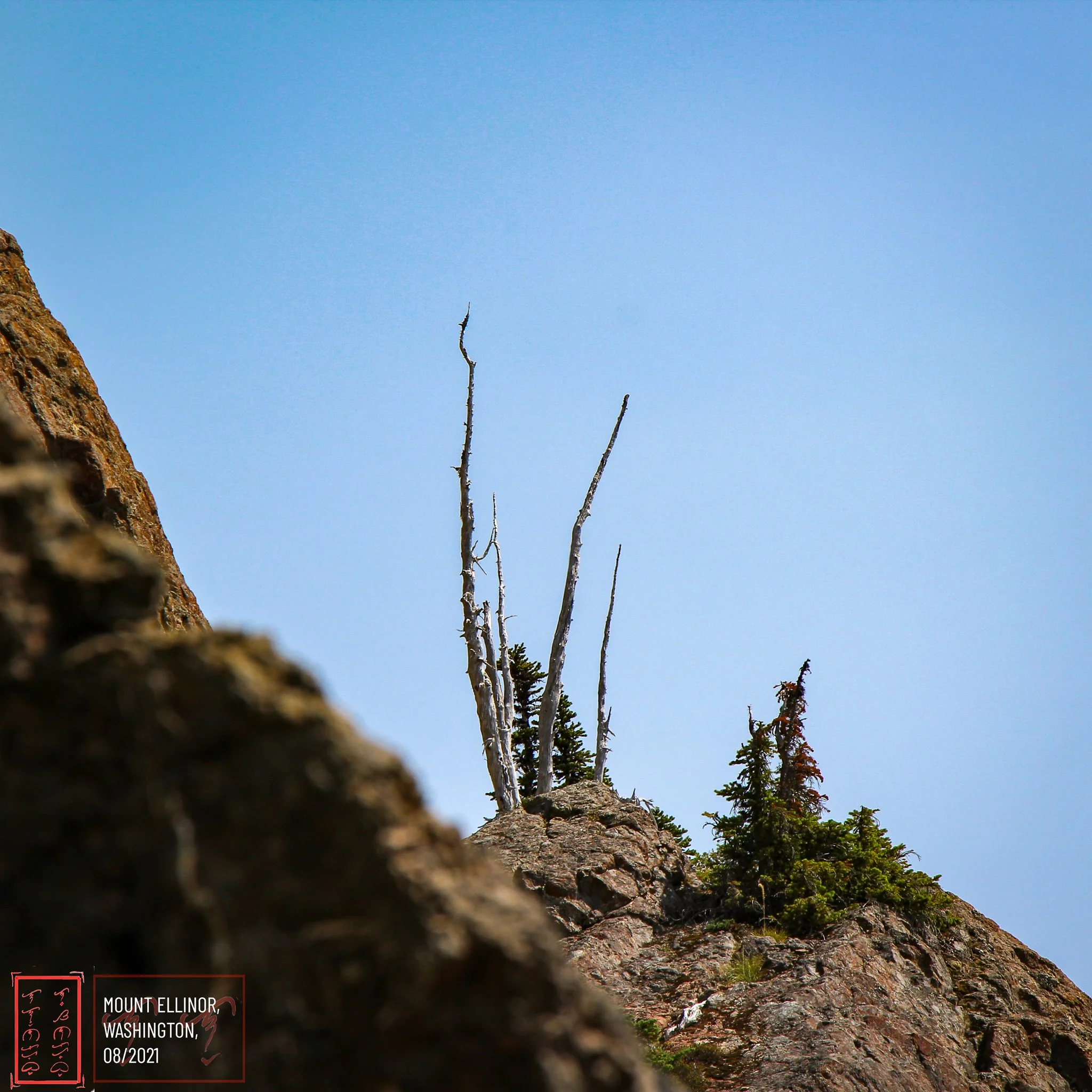 WA: Mount Ellinor