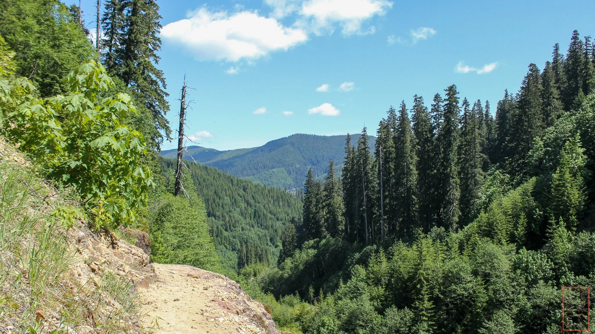 WA: Lava Canyon