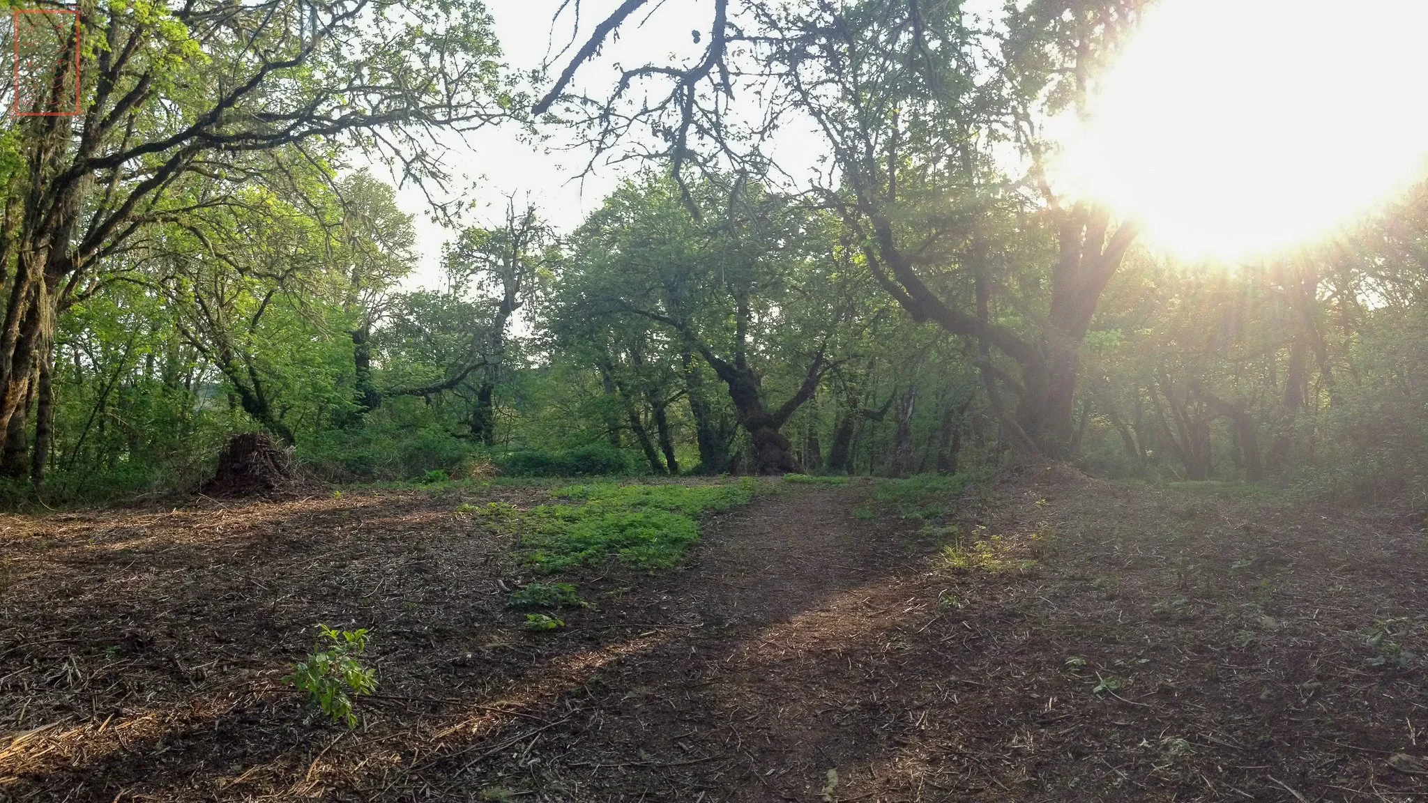 OR: William L. Finley National Wildlife Refuge