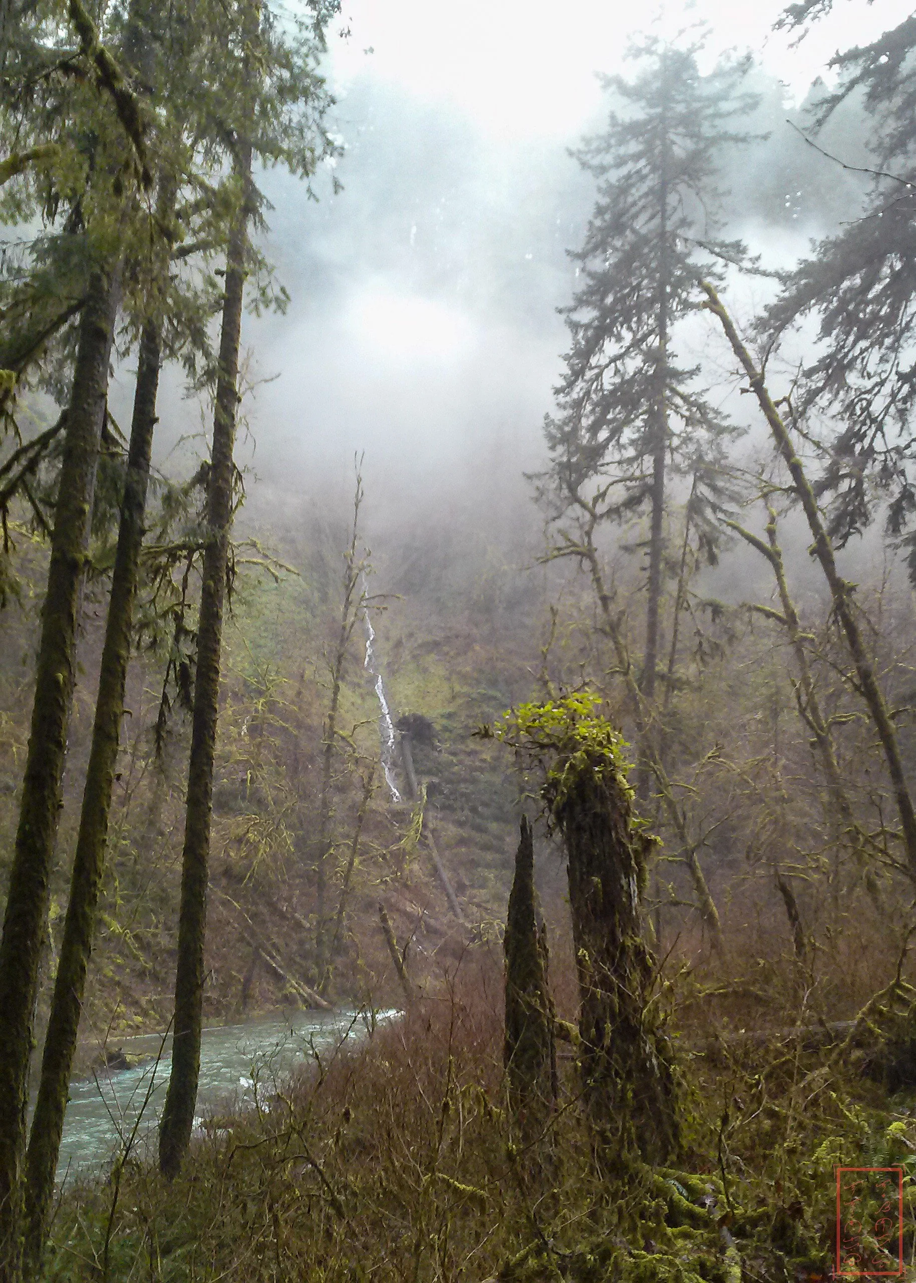 OR: Silver Falls