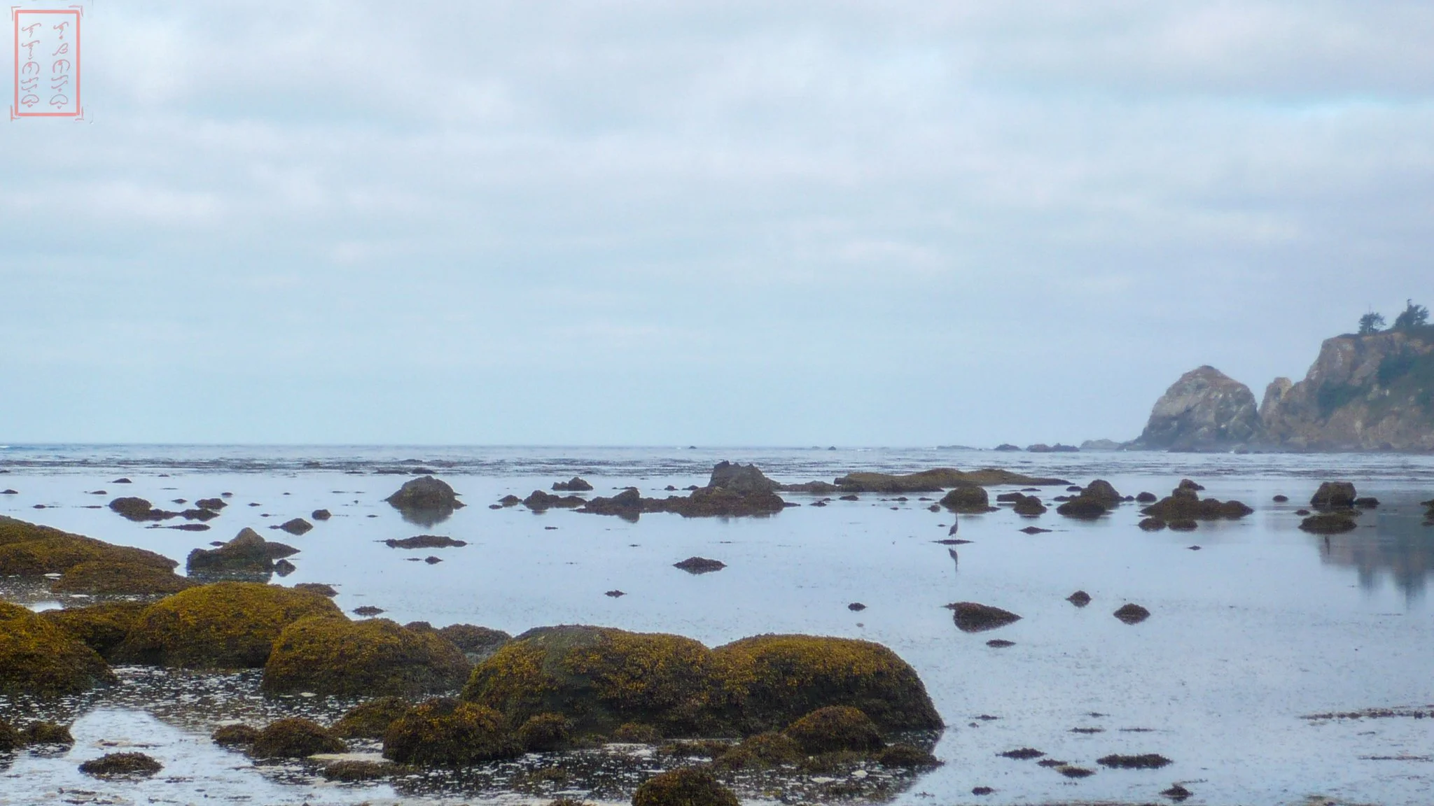 WA: Ozette Triangle