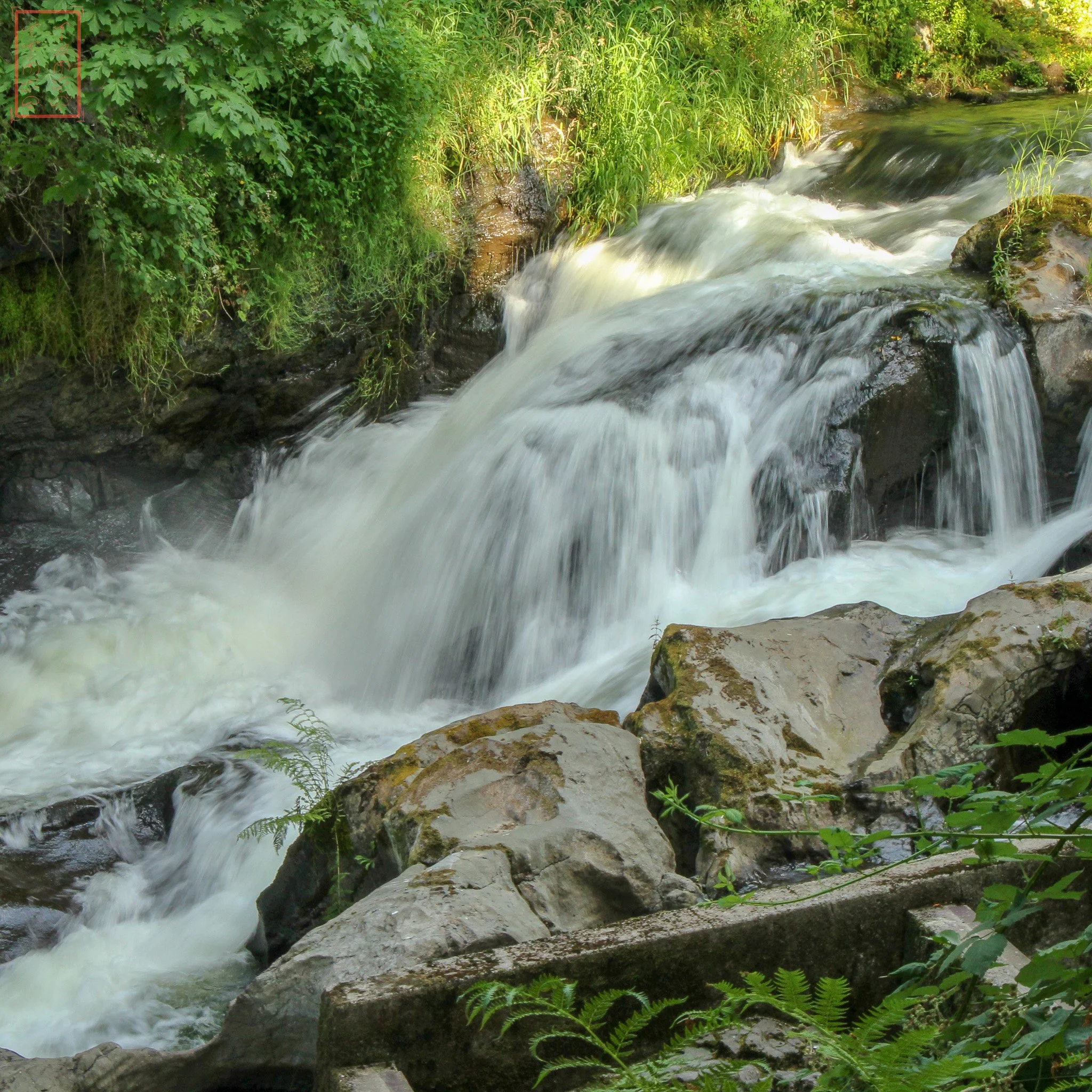 WA: Tumwater Falls