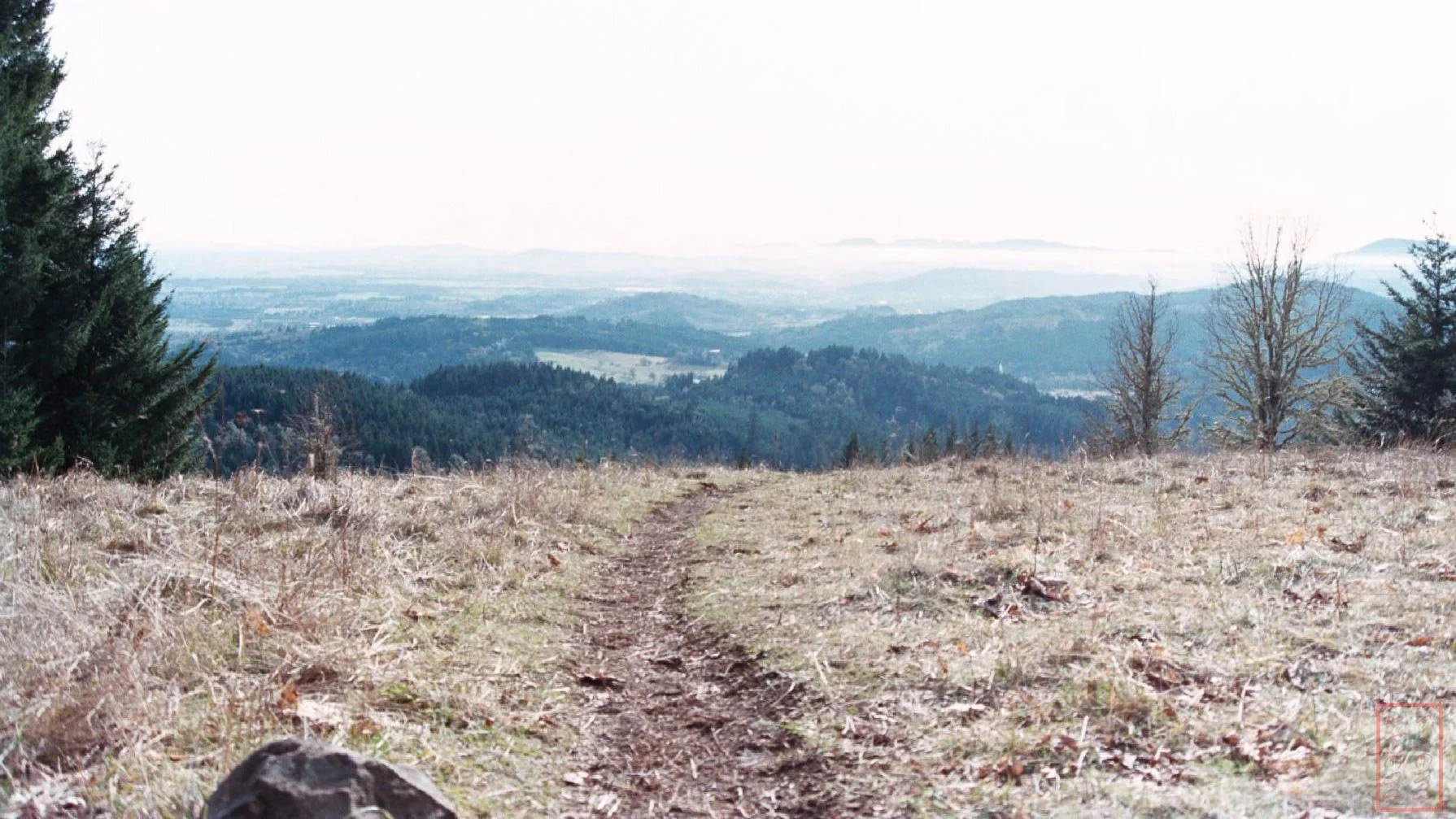 OR: Chip Ross Park and Dimple Hill