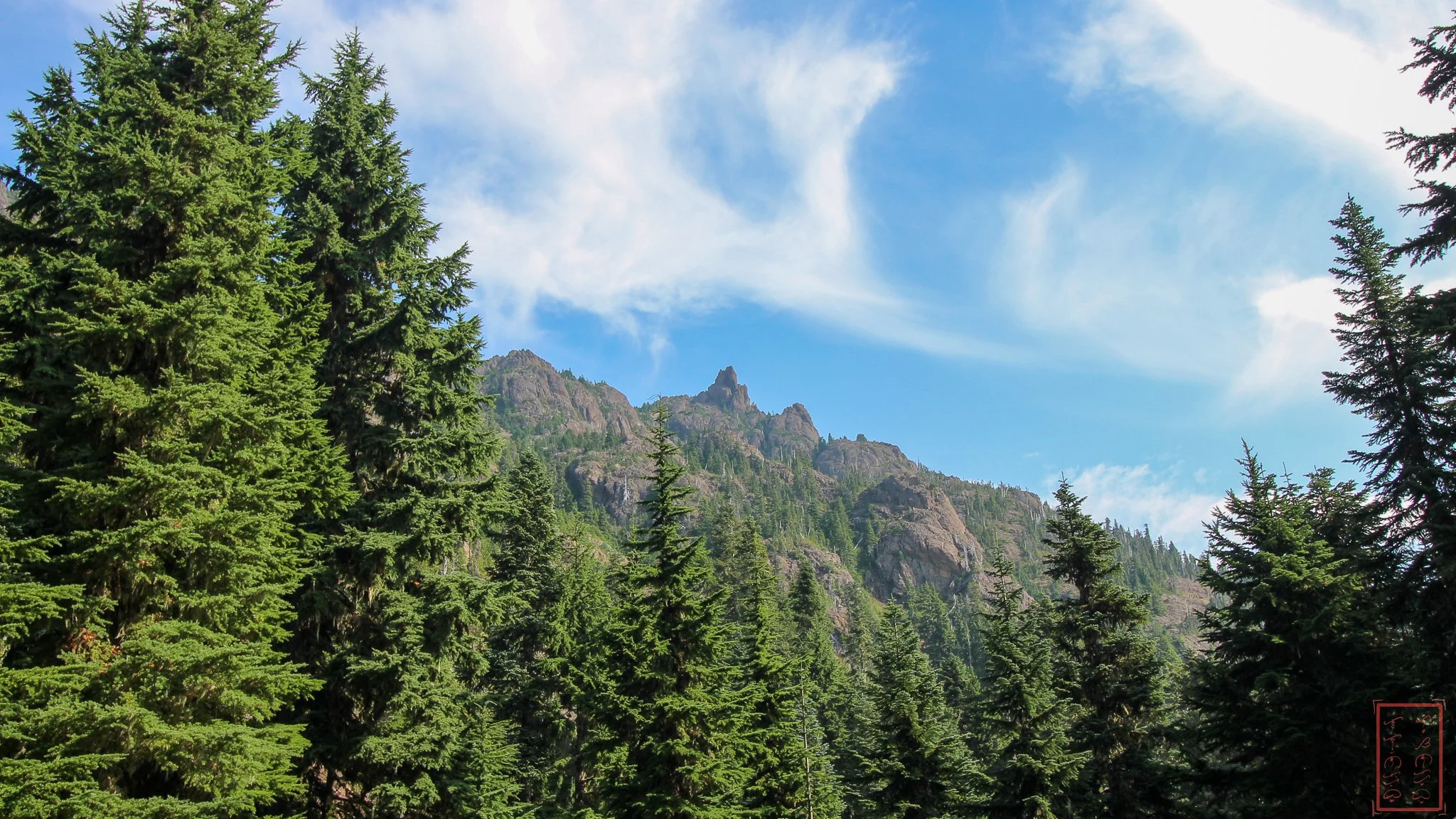 WA: Mount Ellinor