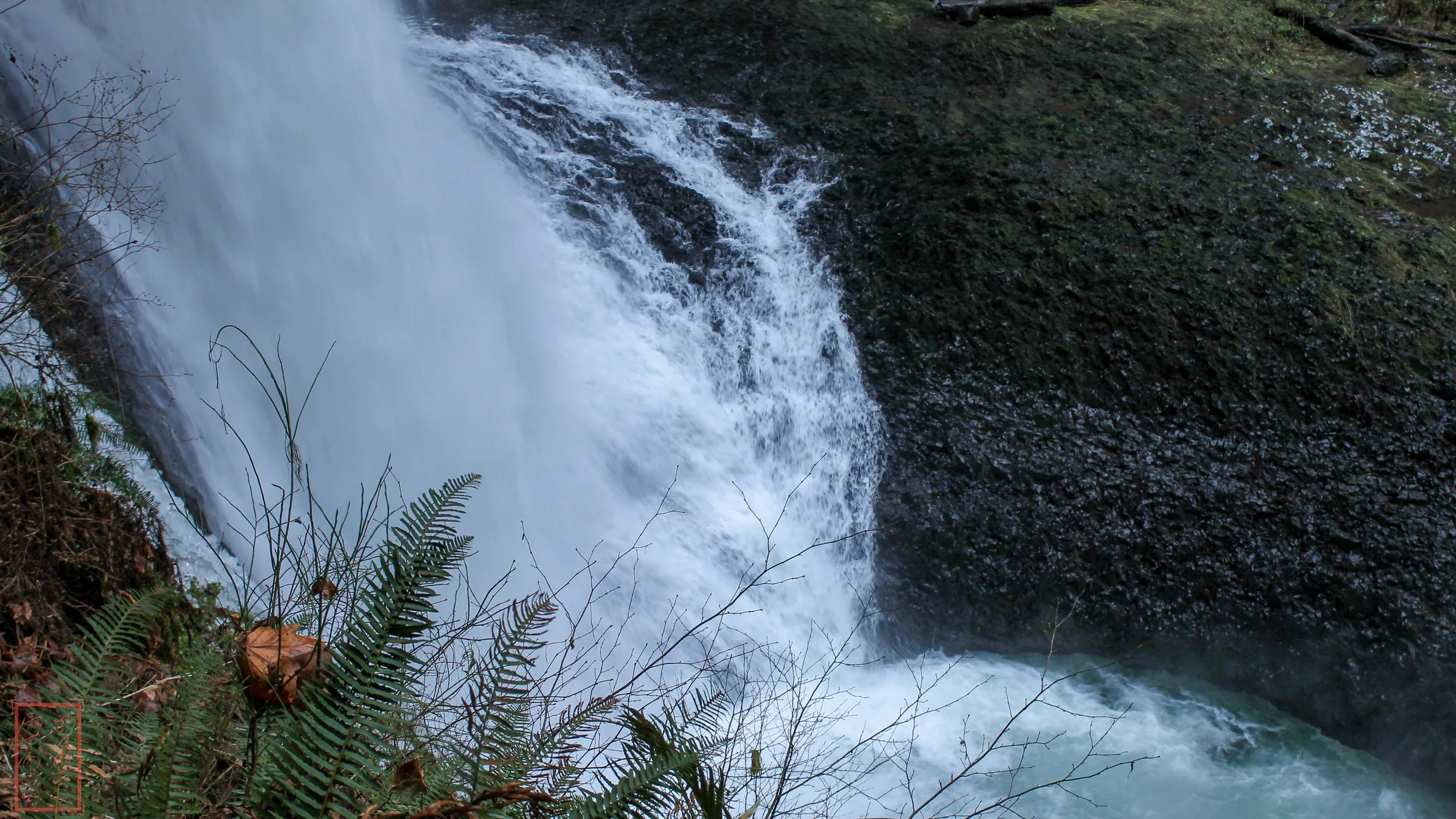 OR: Silver Falls