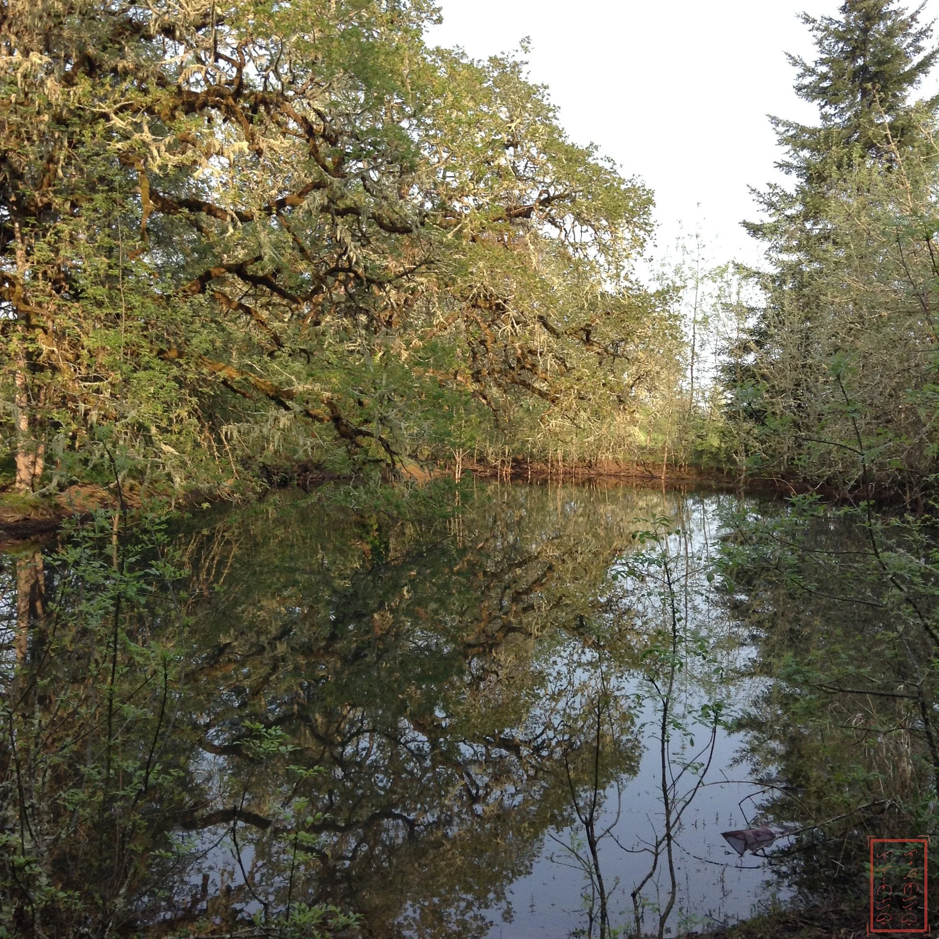 OR: William L. Finley National Wildlife Refuge