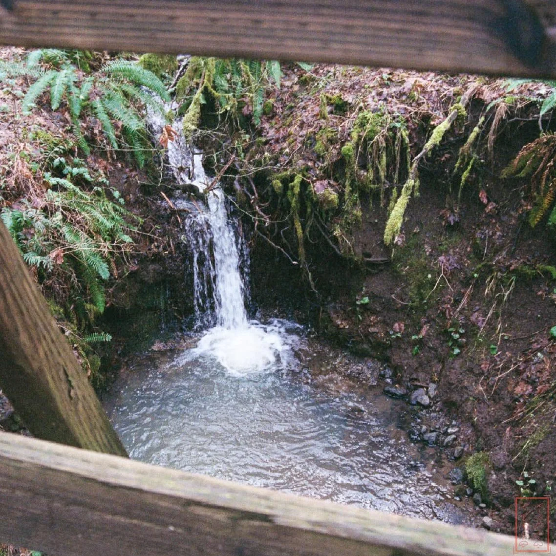 OR: Chip Ross Park and Dimple Hill