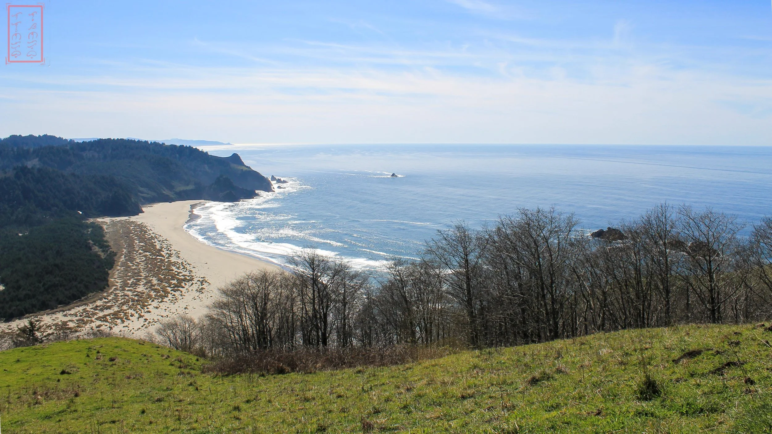 OR: Cascade Head