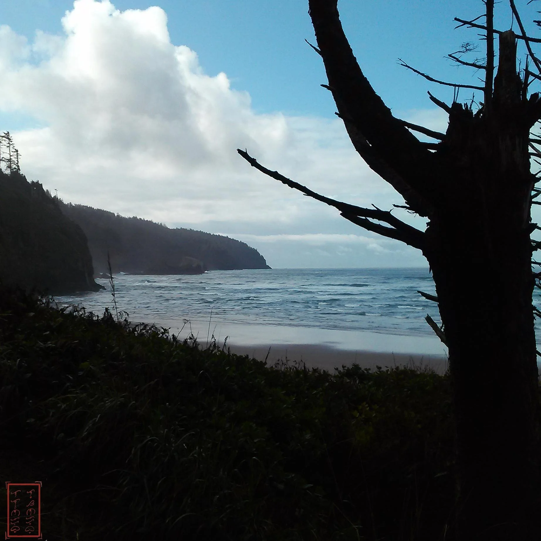 OR: Cape Lookout