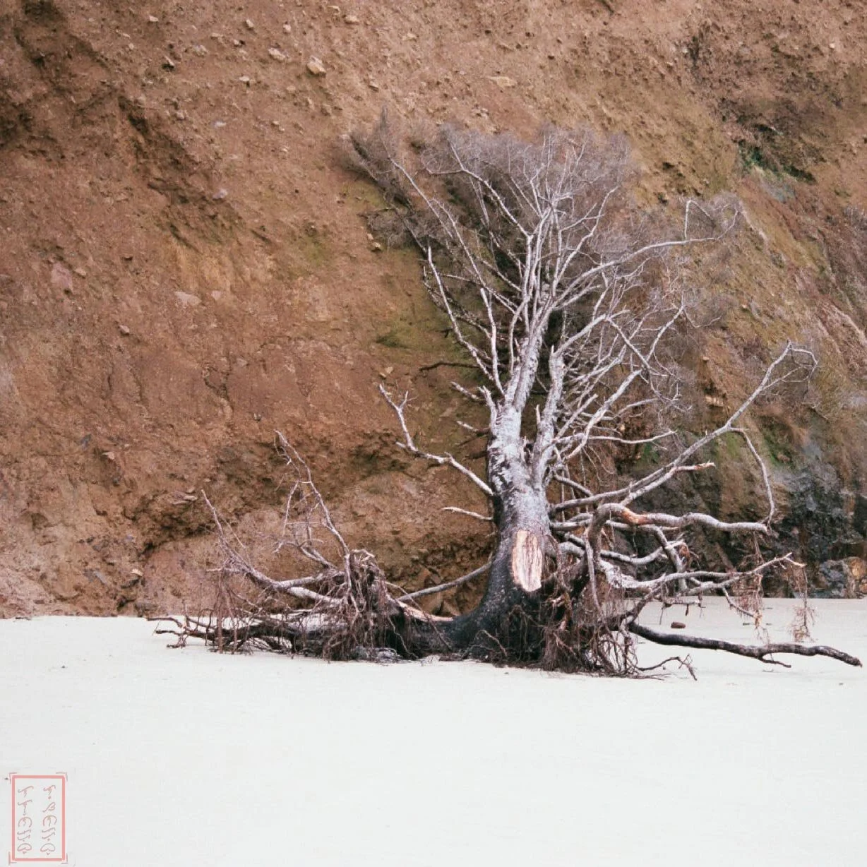 OR: Cape Lookout