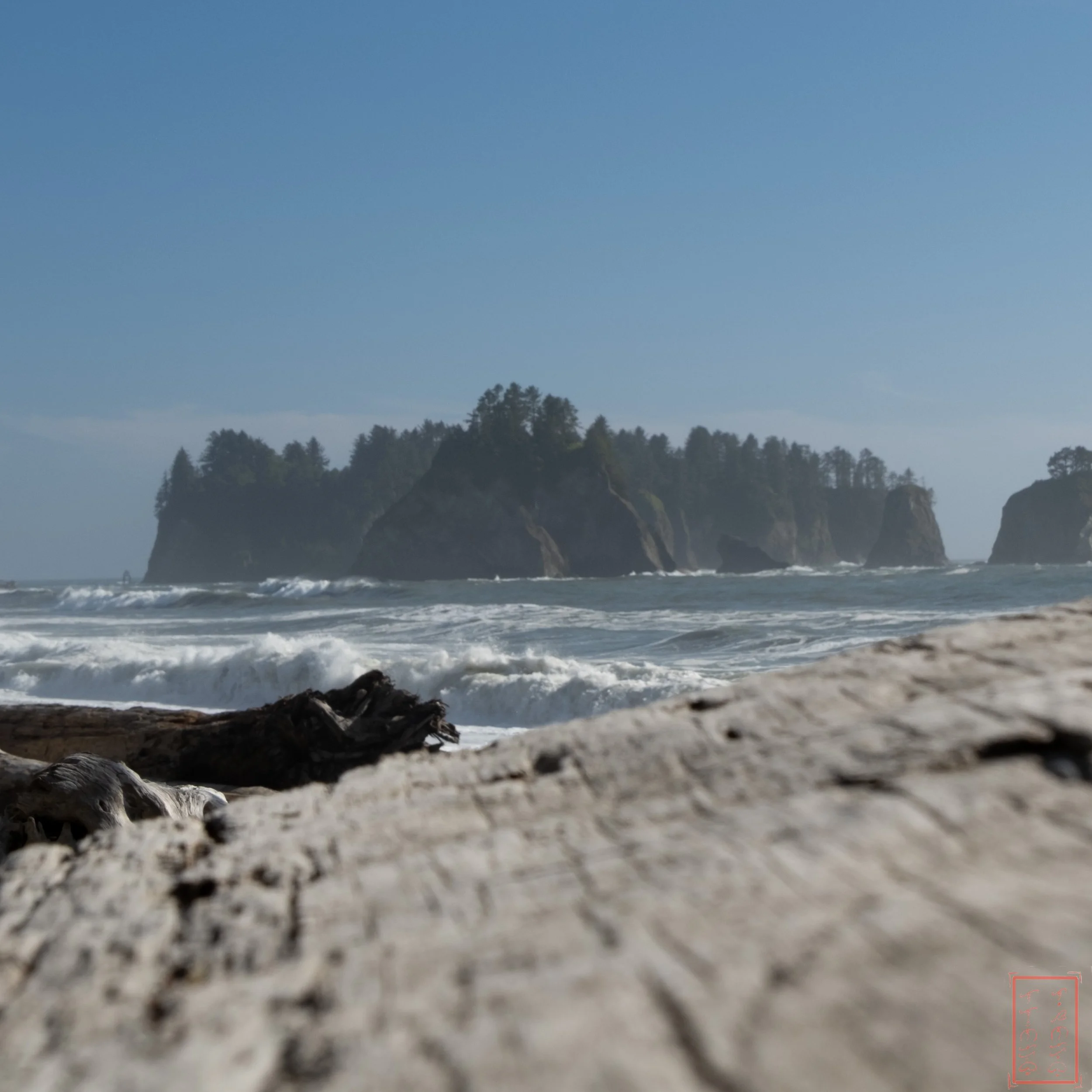 26_0619_Rialto-C-1x1-1.jpg