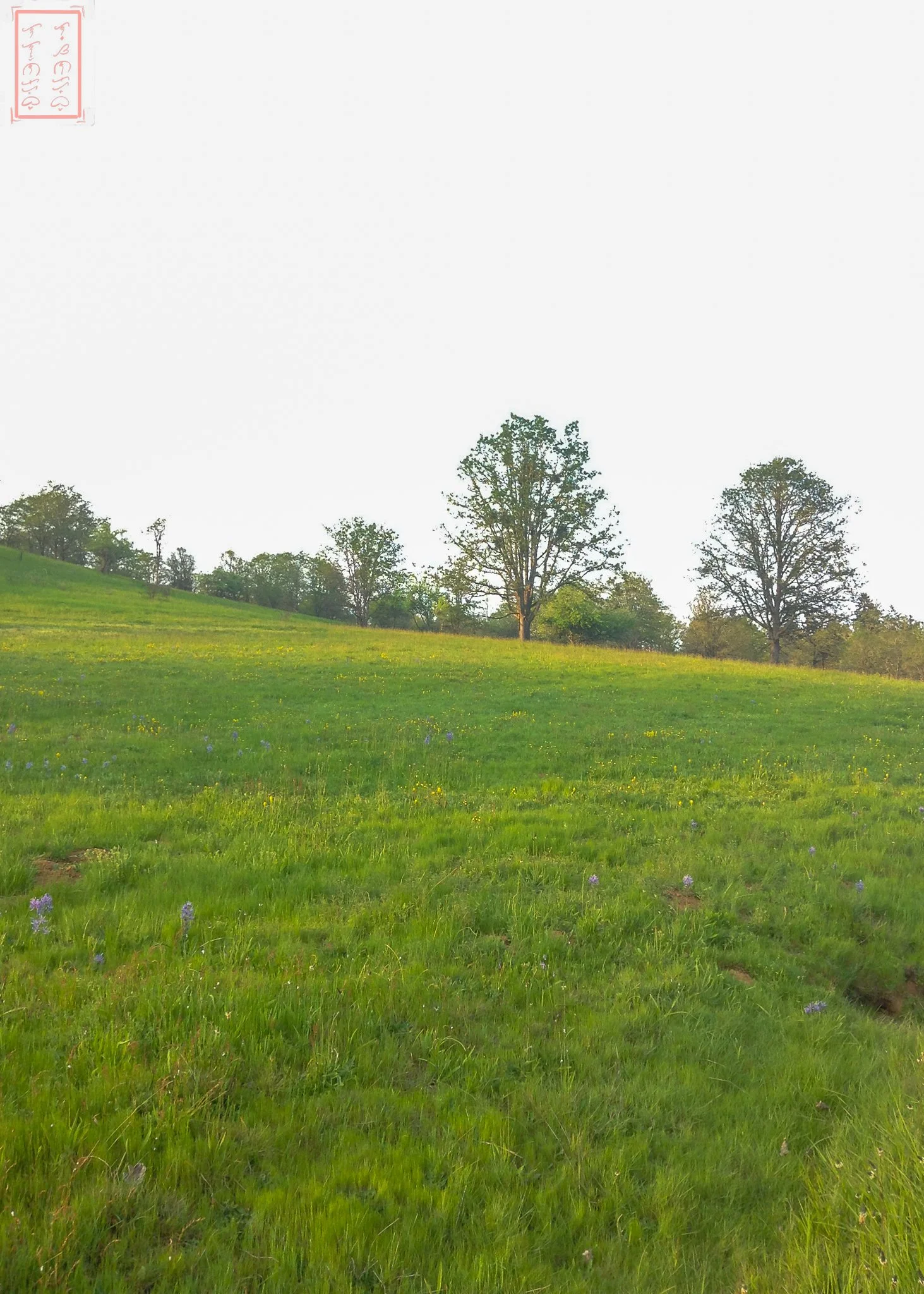 OR: William L. Finley National Wildlife Refuge