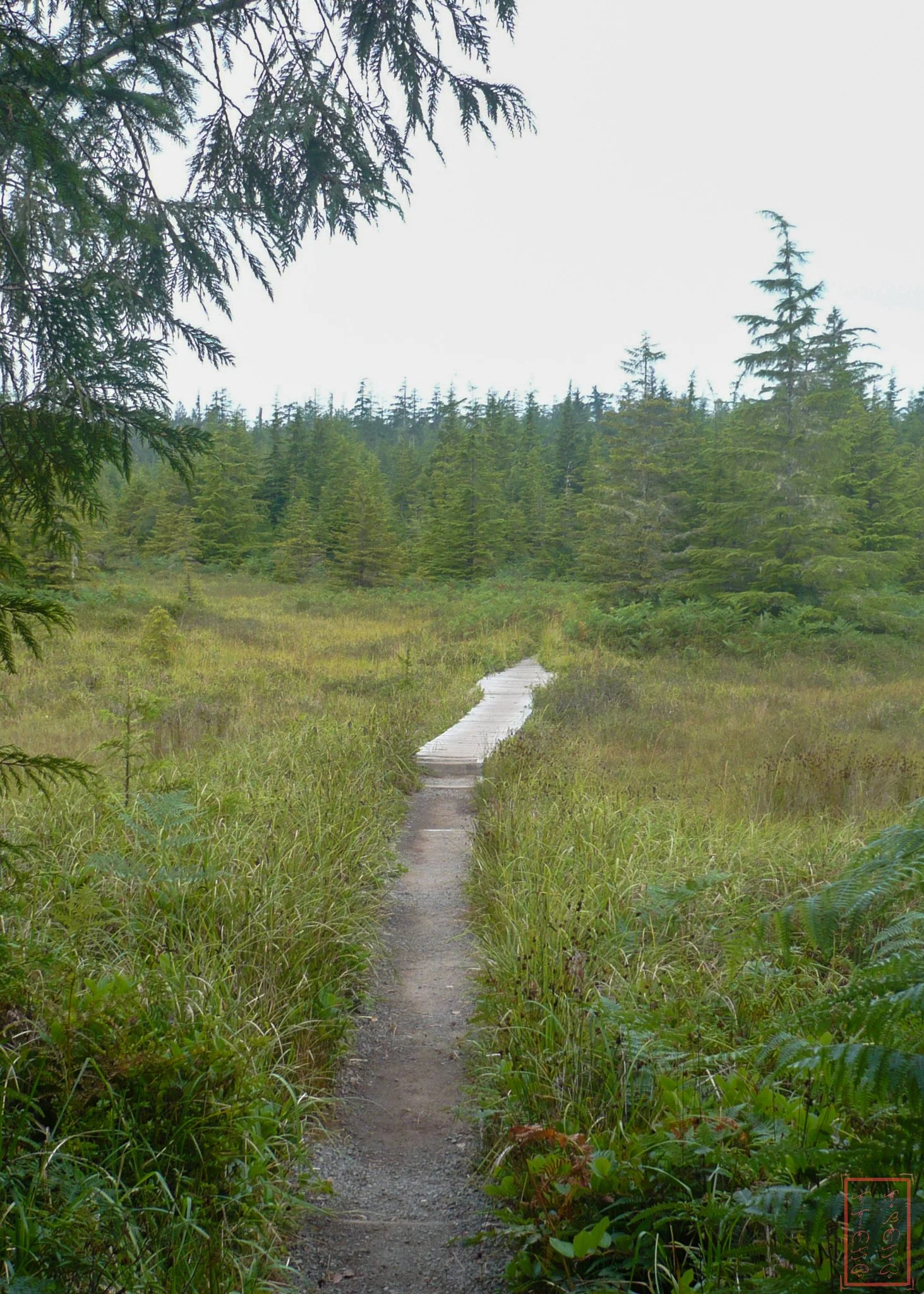 WA: Ozette Triangle