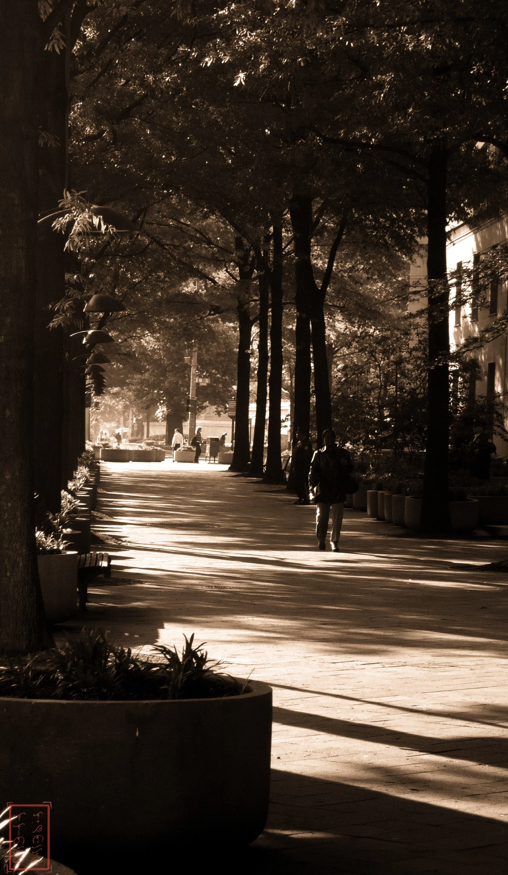 2009: 17.4 mm, 1/60 sec, f/5.0, ISO 100