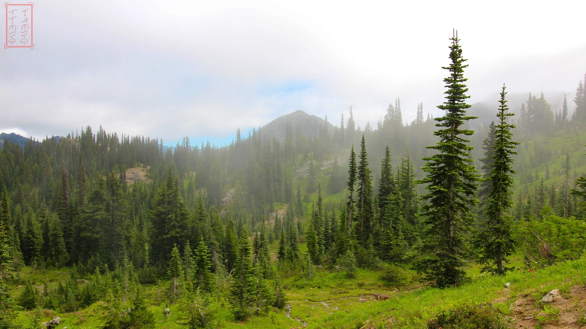 WA: Naches Peak Loop
