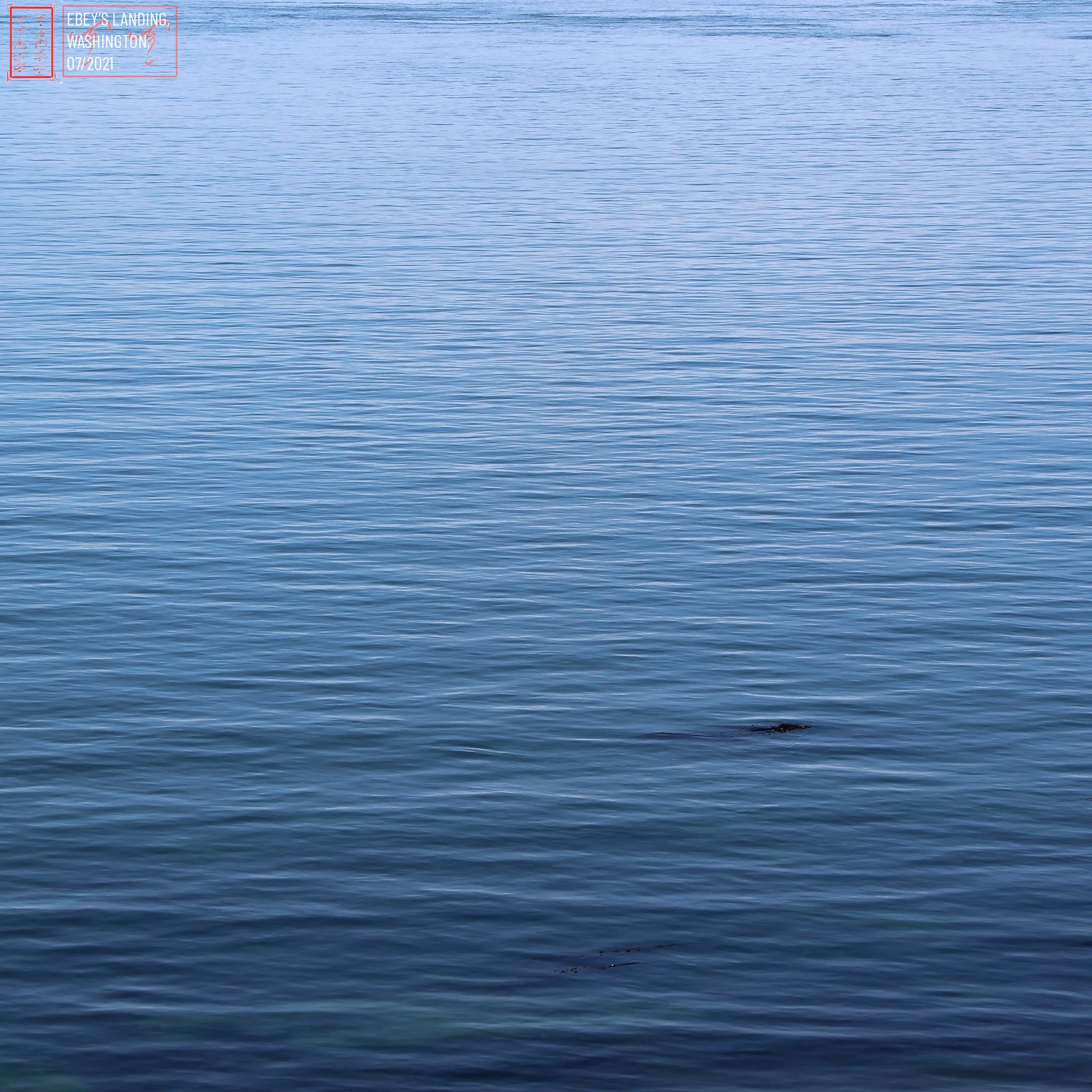 WA: Ebey's Landing