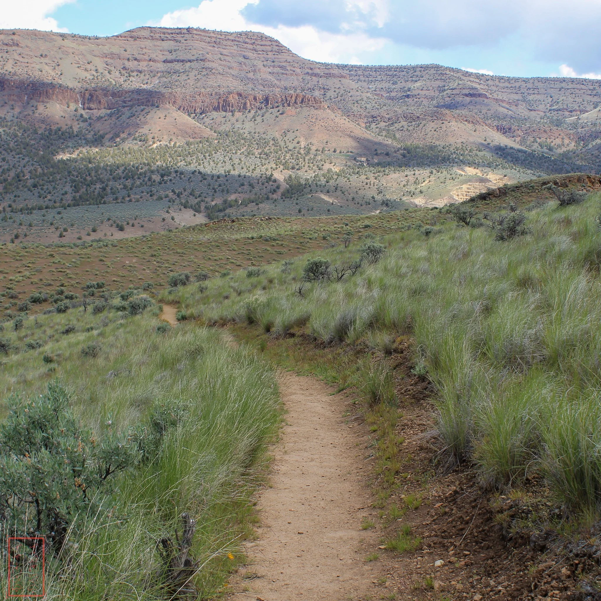 OR: Painted Hills